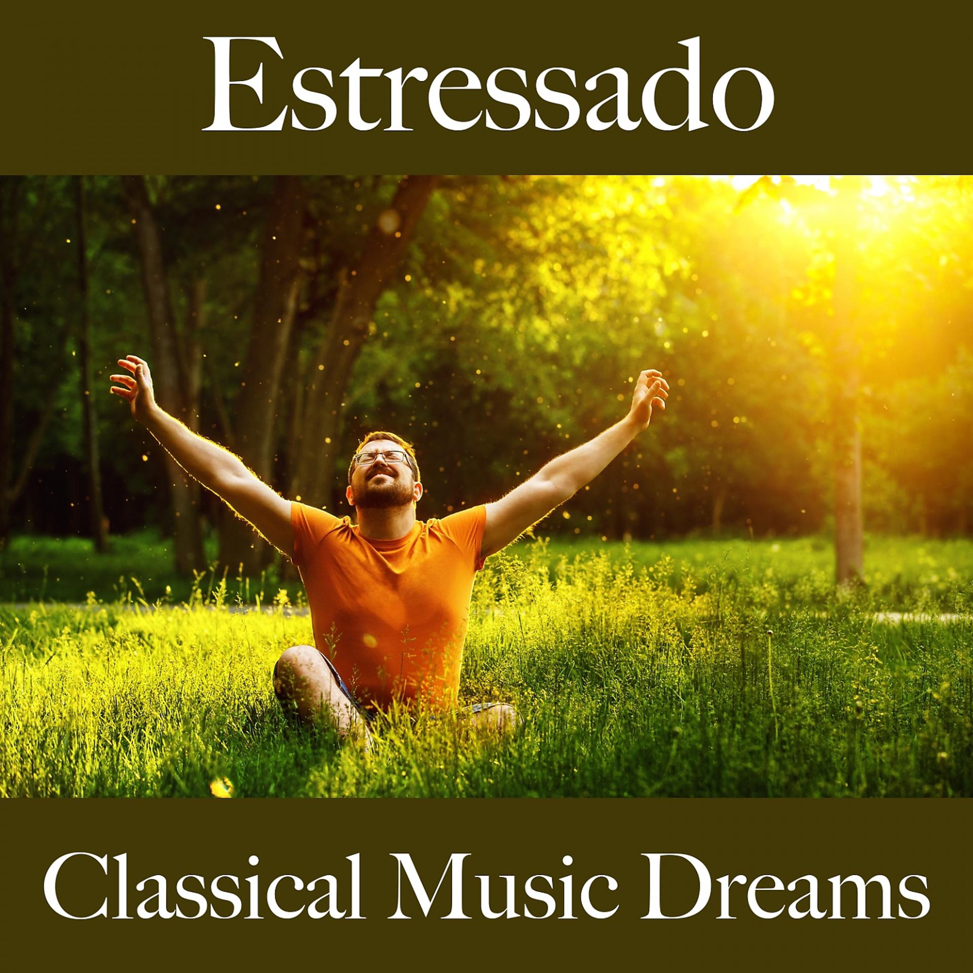 Постер альбома Estressado: Classical Music Dreams - A Melhor Música Para Relaxar