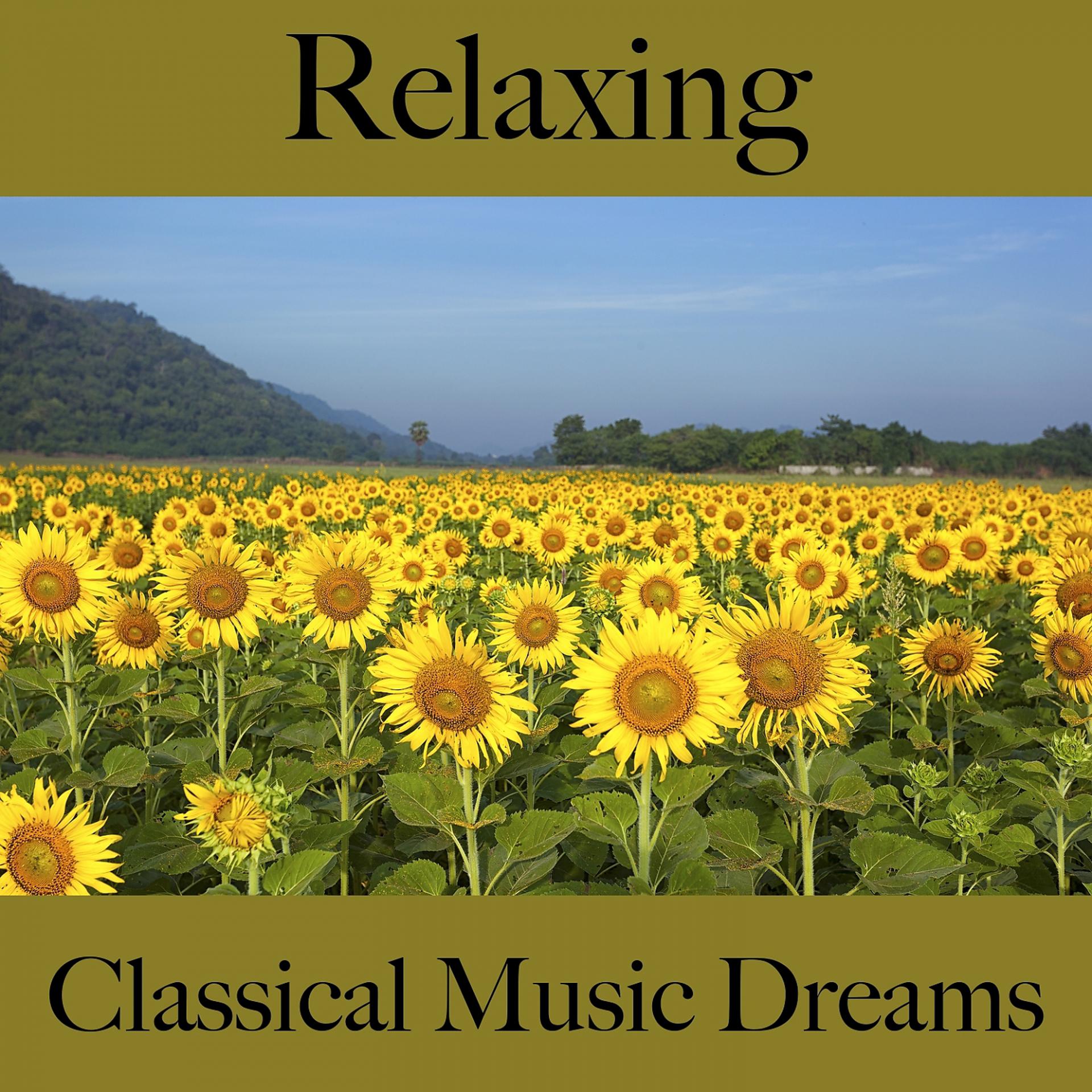 Постер альбома Relaxing: Classical Music Dreams - The Best Music For Relaxation