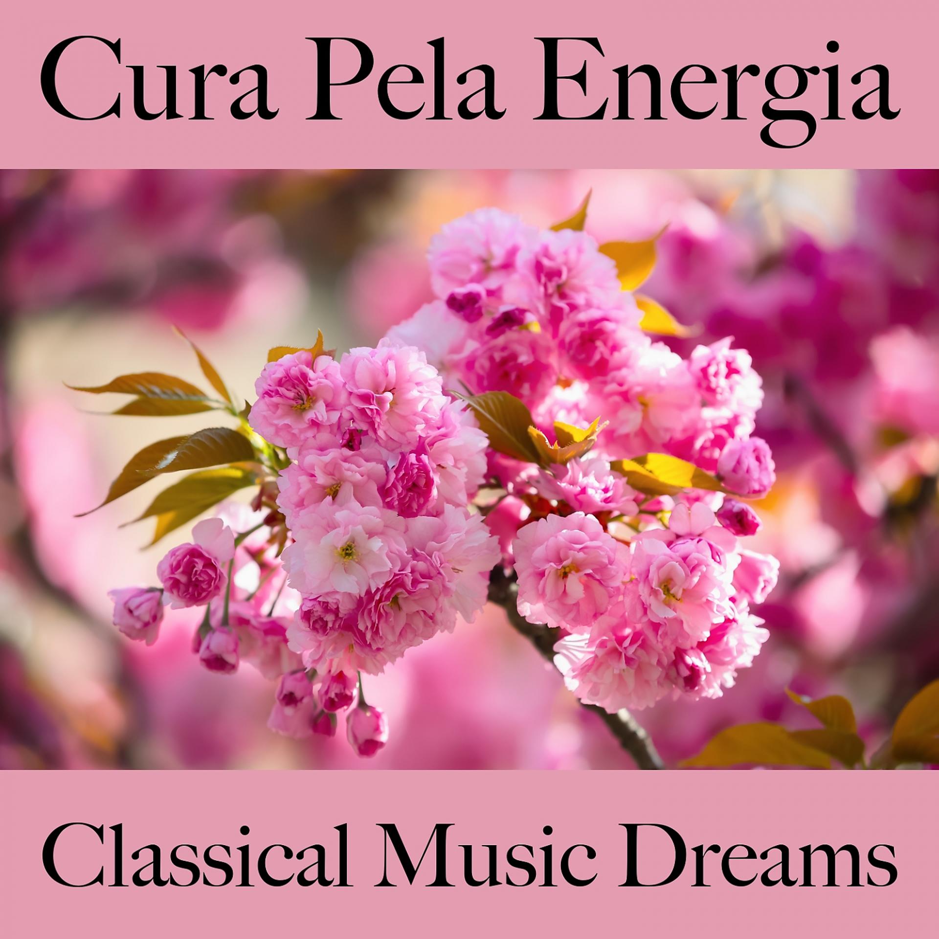 Постер альбома Cura Pela Energia: Classical Music Dreams - A Melhor Música Para Relaxar