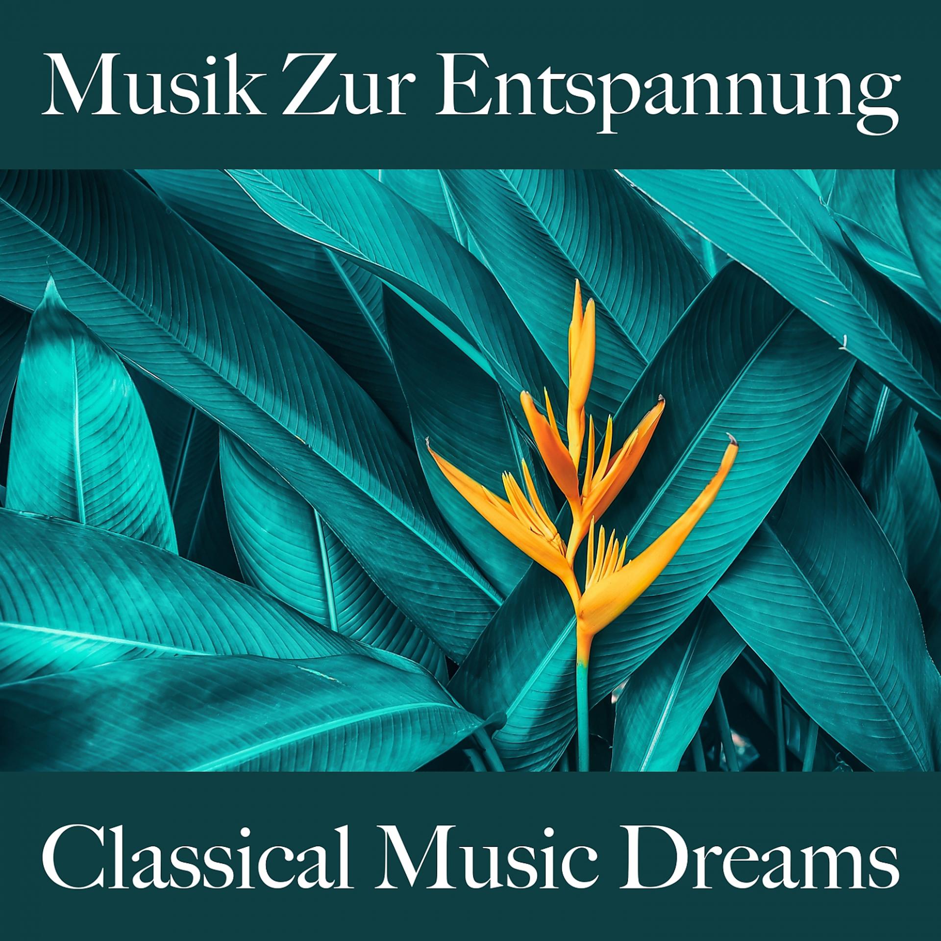 Постер альбома Musik Zur Entspannung: Classical Music Dreams - Die Beste Musik Zum Entspannen