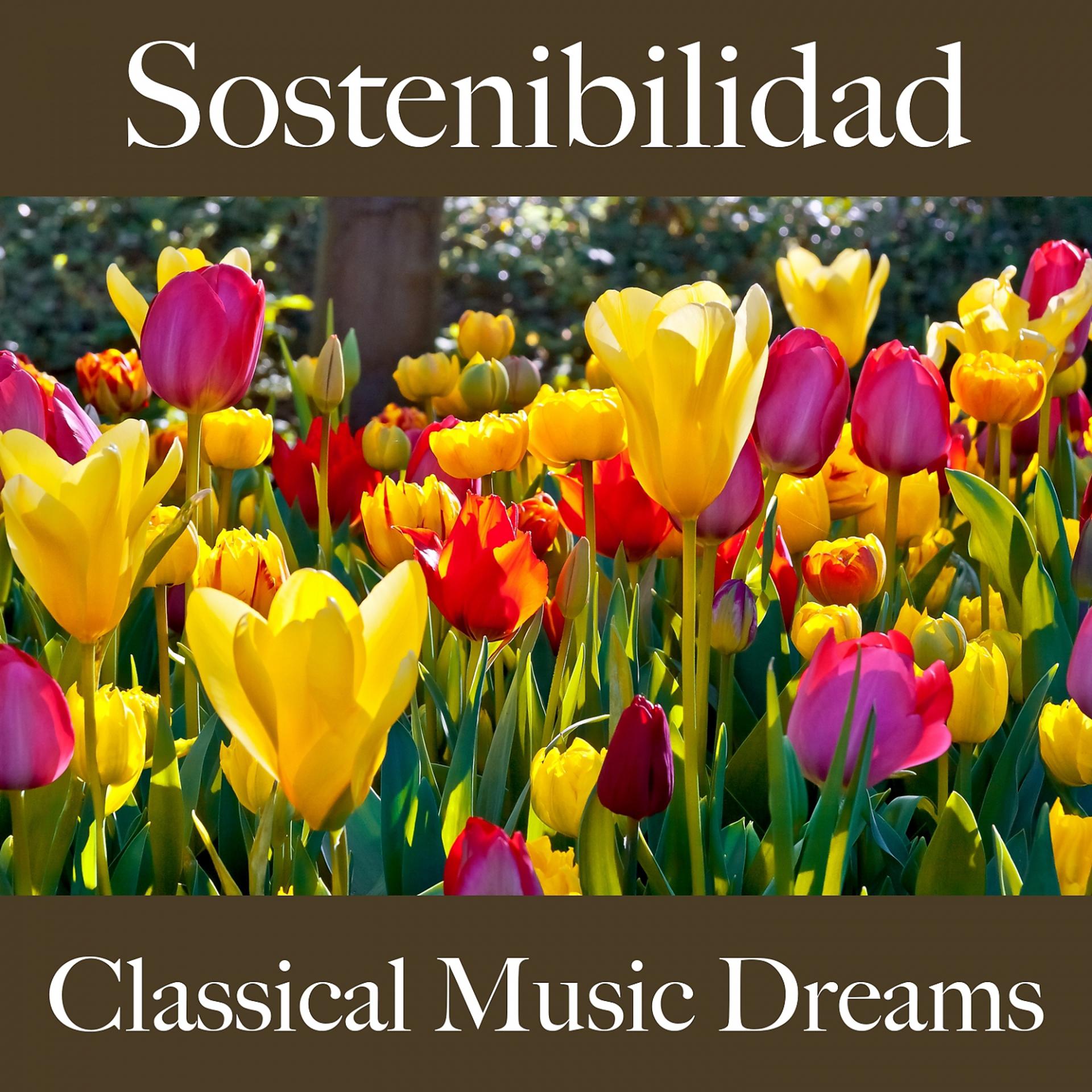 Постер альбома Sostenibilidad: Classical Music Dreams - La Mejor Música Para Descansarse