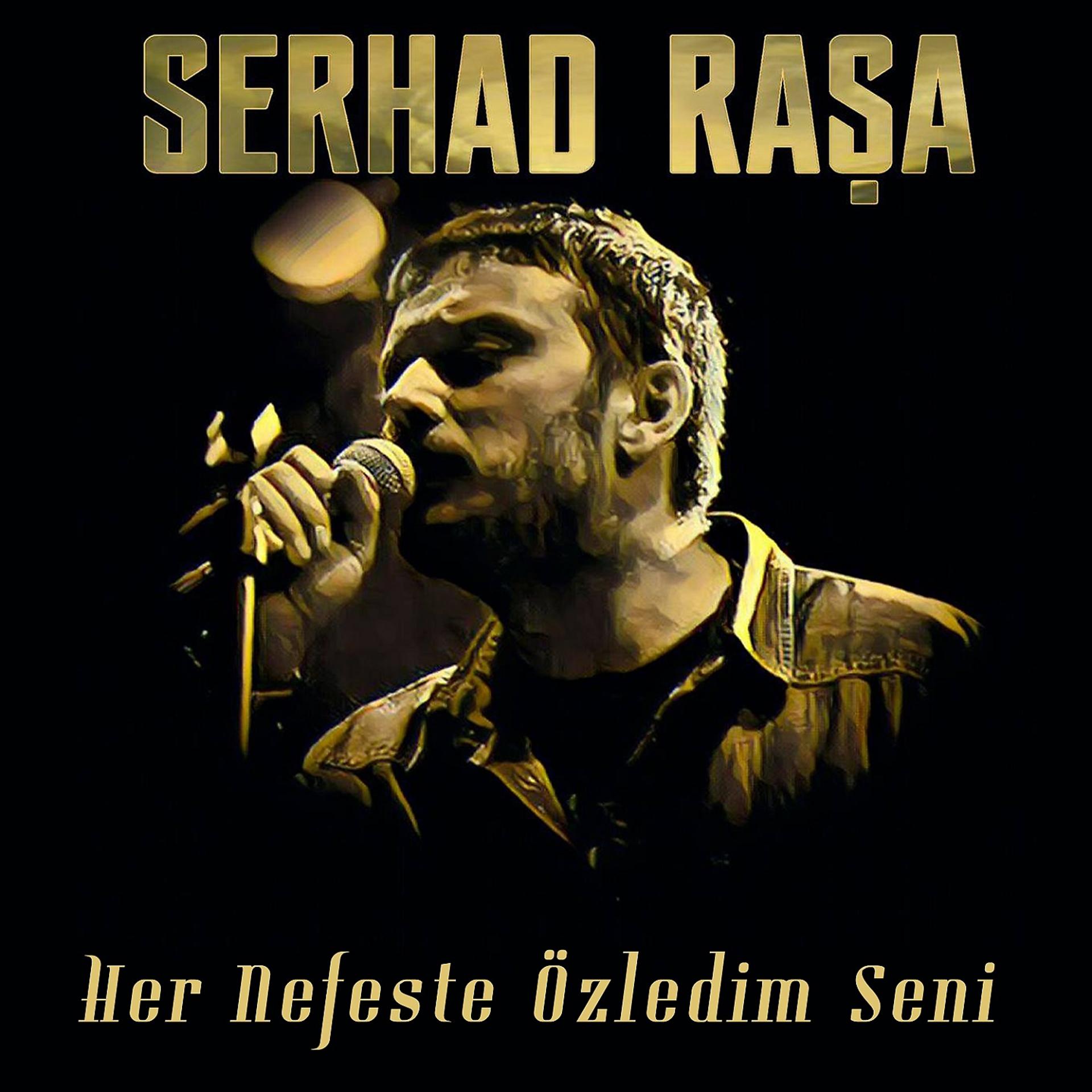 Постер альбома Her Nefeste Özledim Seni