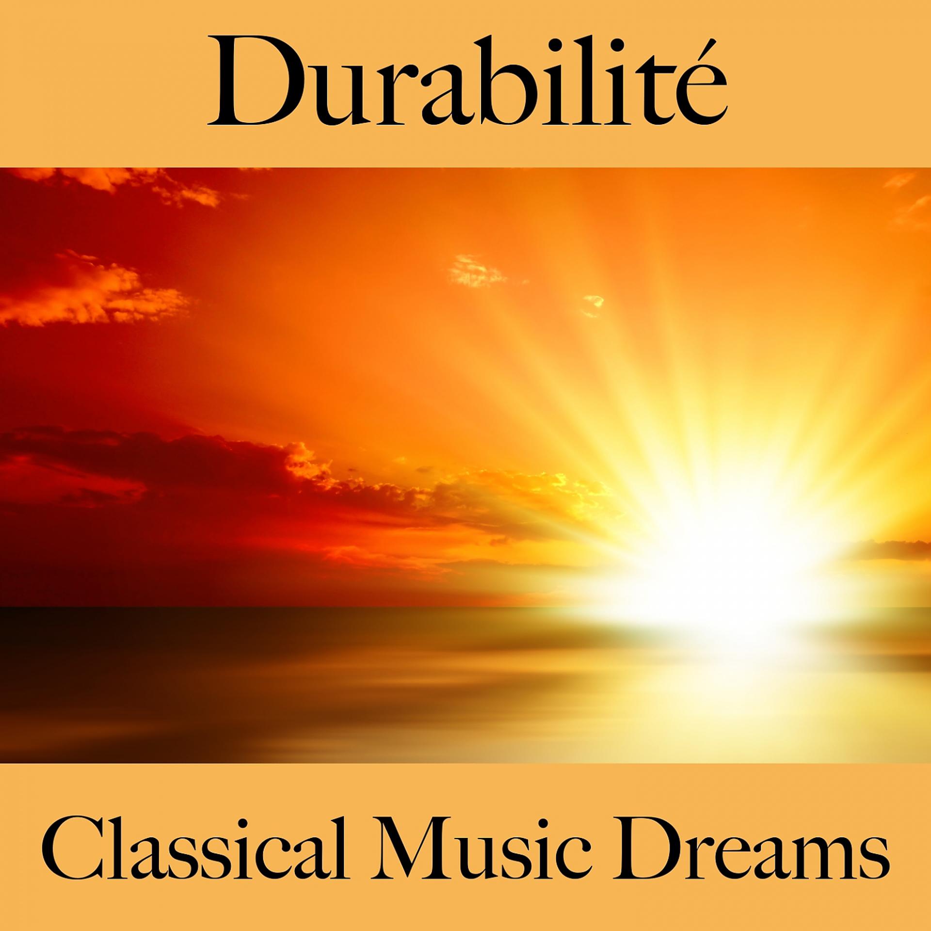 Постер альбома Durabilité: Classical Music Dreams - La Meilleure Musique Pour Se Détendre