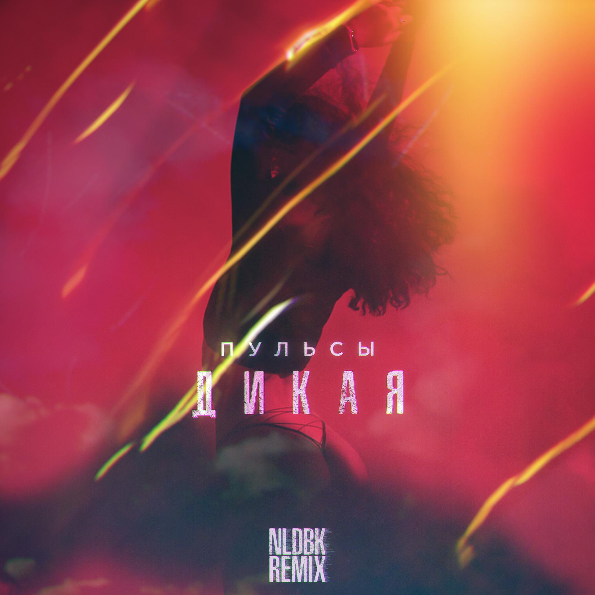 Постер альбома Дикая (NLDBK Remix)