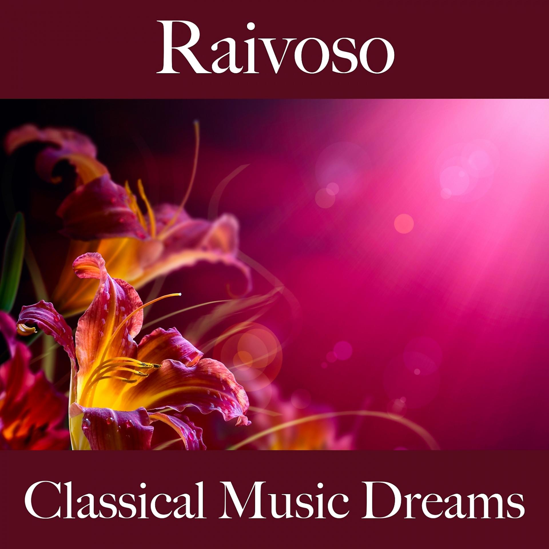 Постер альбома Raivoso: Classical Music Dreams - A Melhor Música Para Sentir-Se Melhor