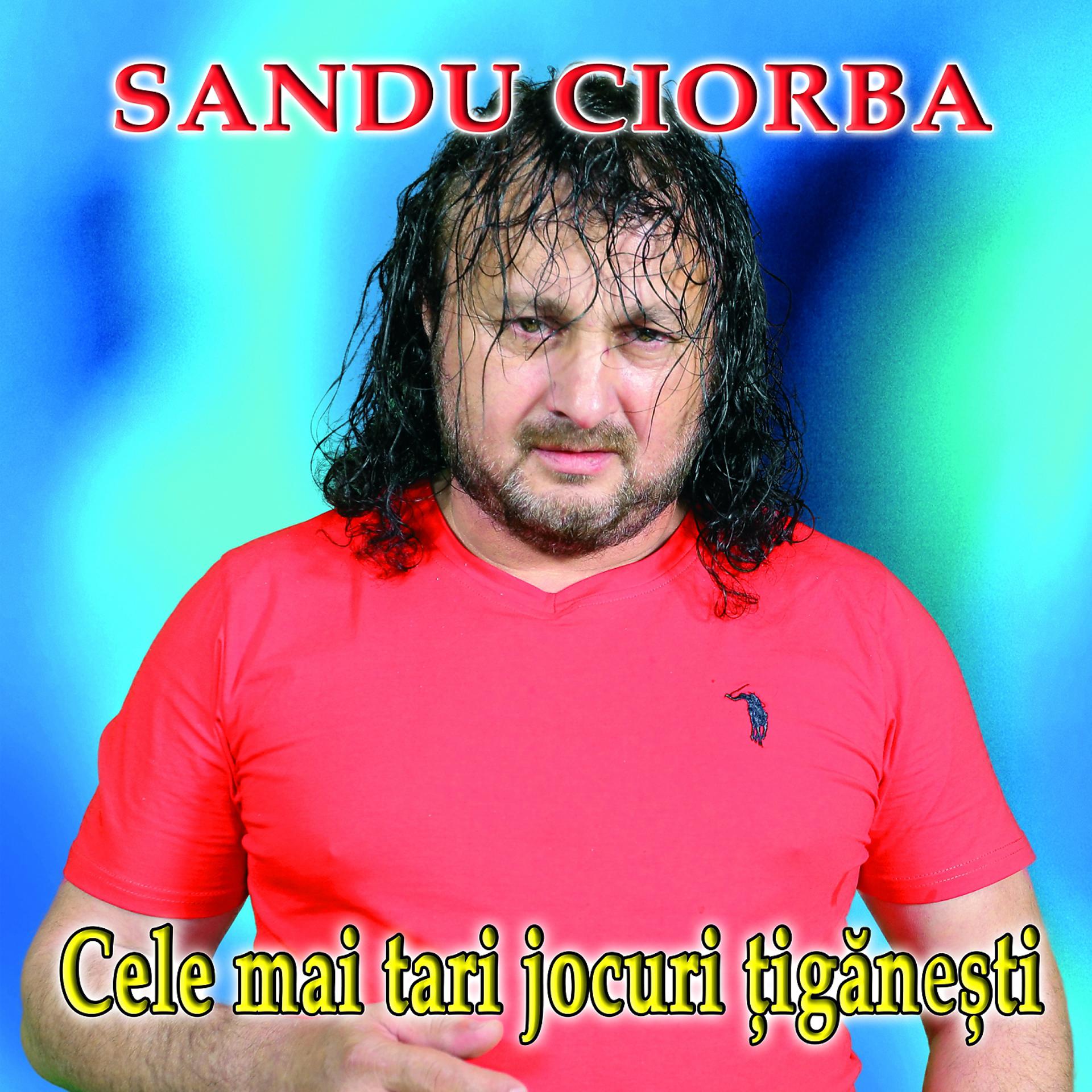 Постер альбома Cele Mai Tari Jocuri Țigănești