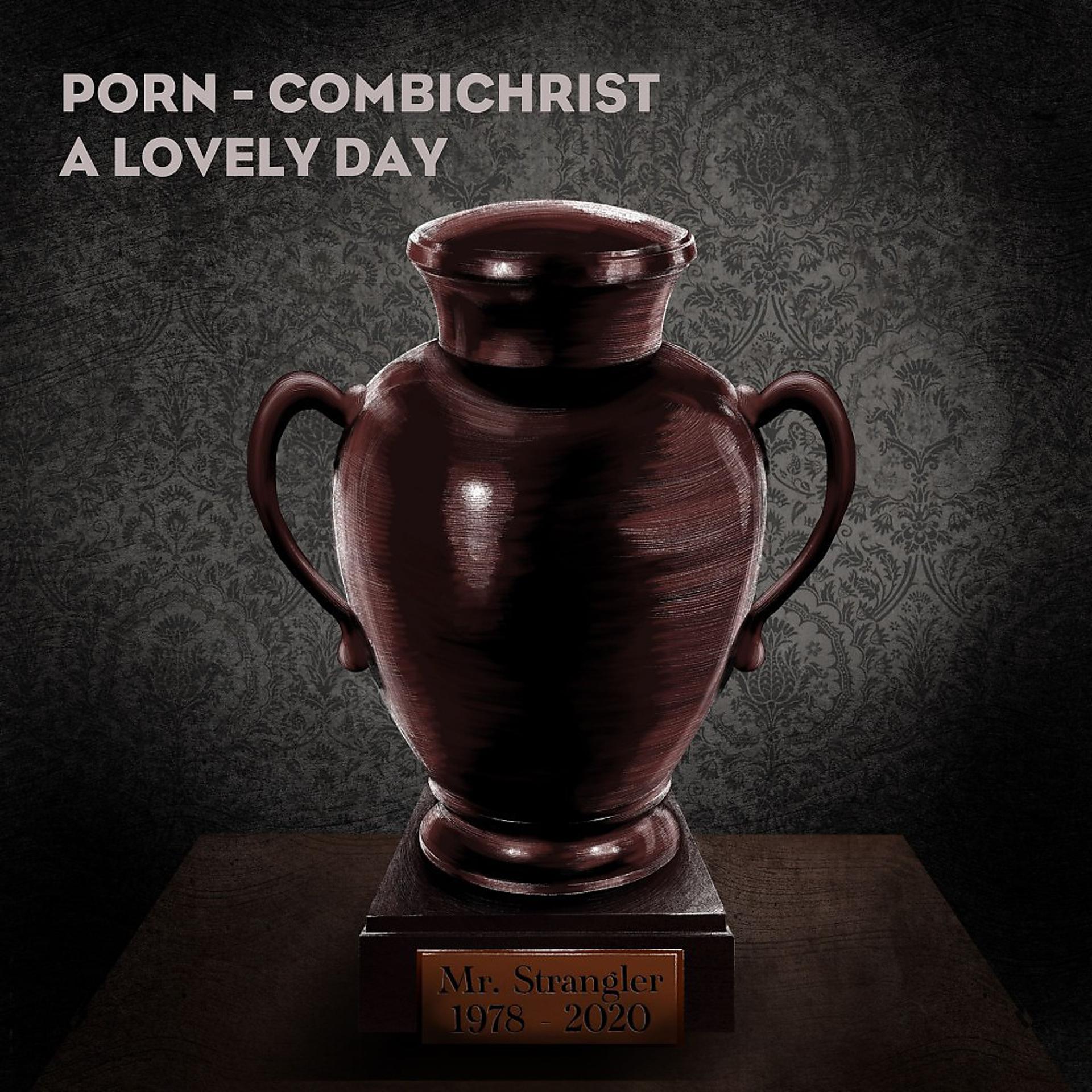 Постер альбома A Lovely Day (Combichrist Remix)