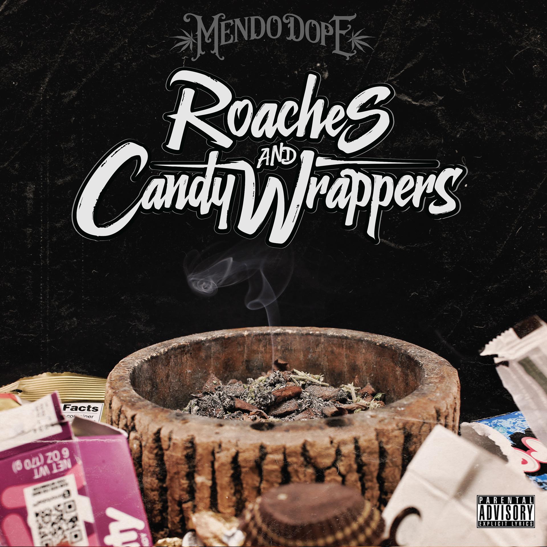 Постер альбома Roaches and Candy Wrappers