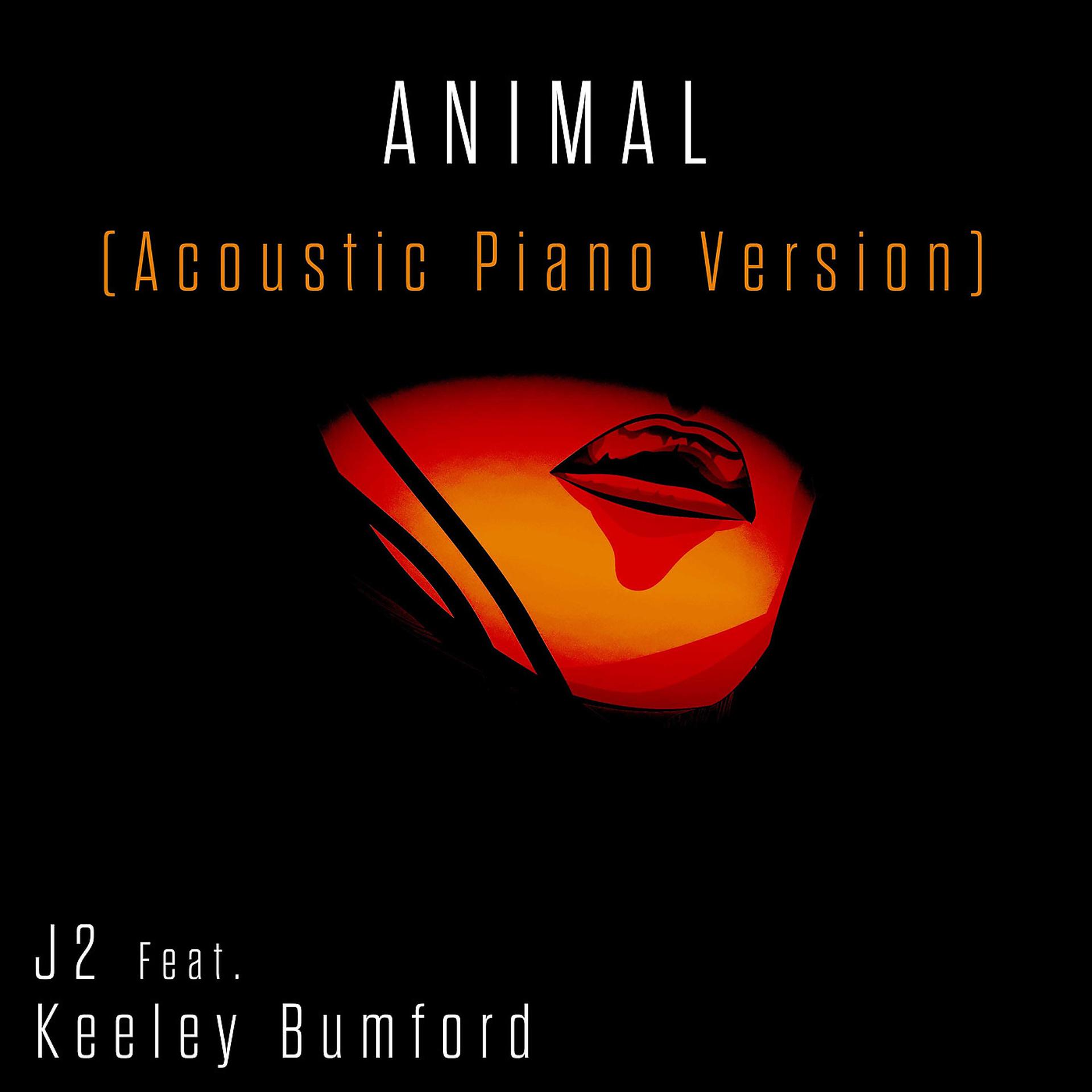Постер альбома Animal (Acoustic Piano Version)