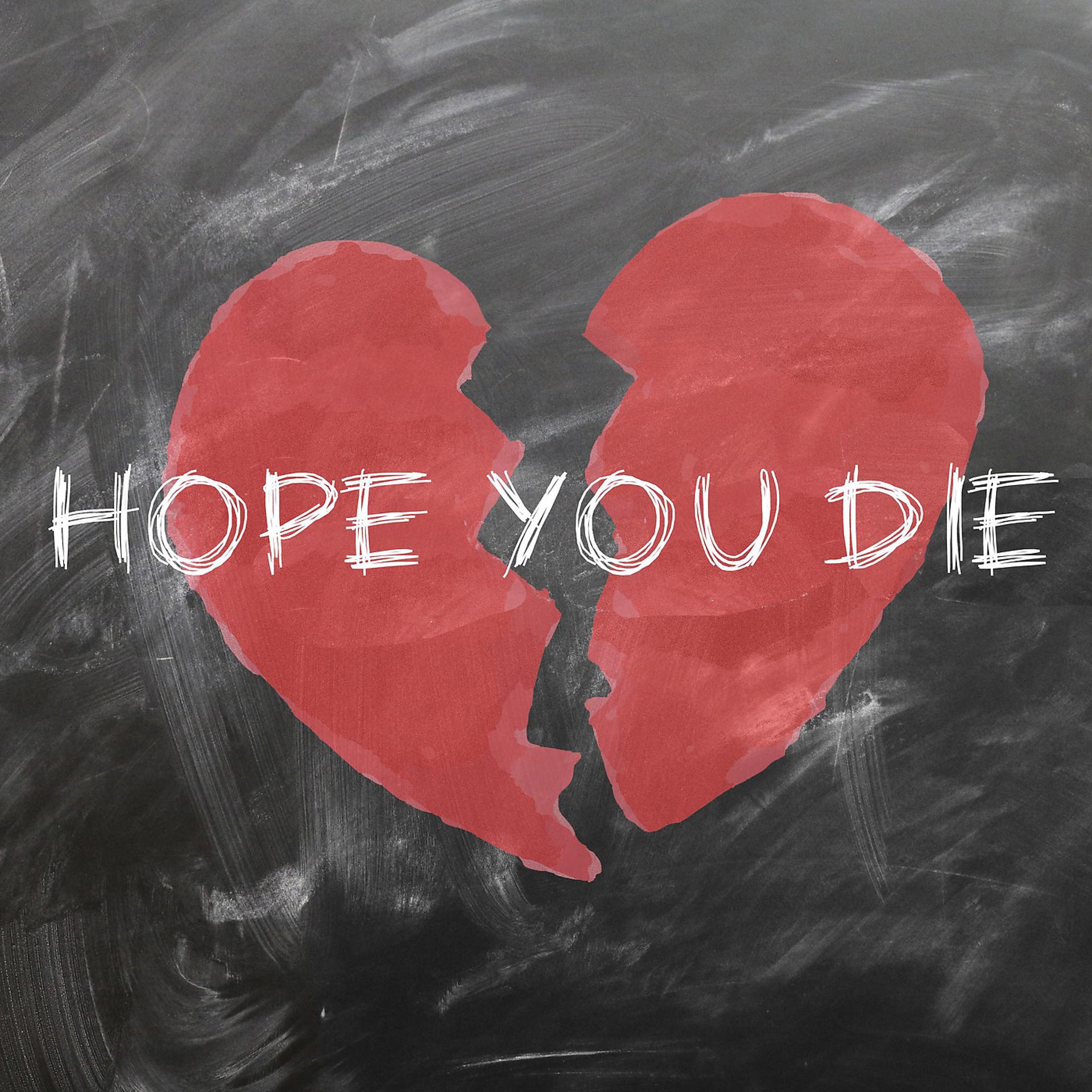 Постер альбома Hope You Die