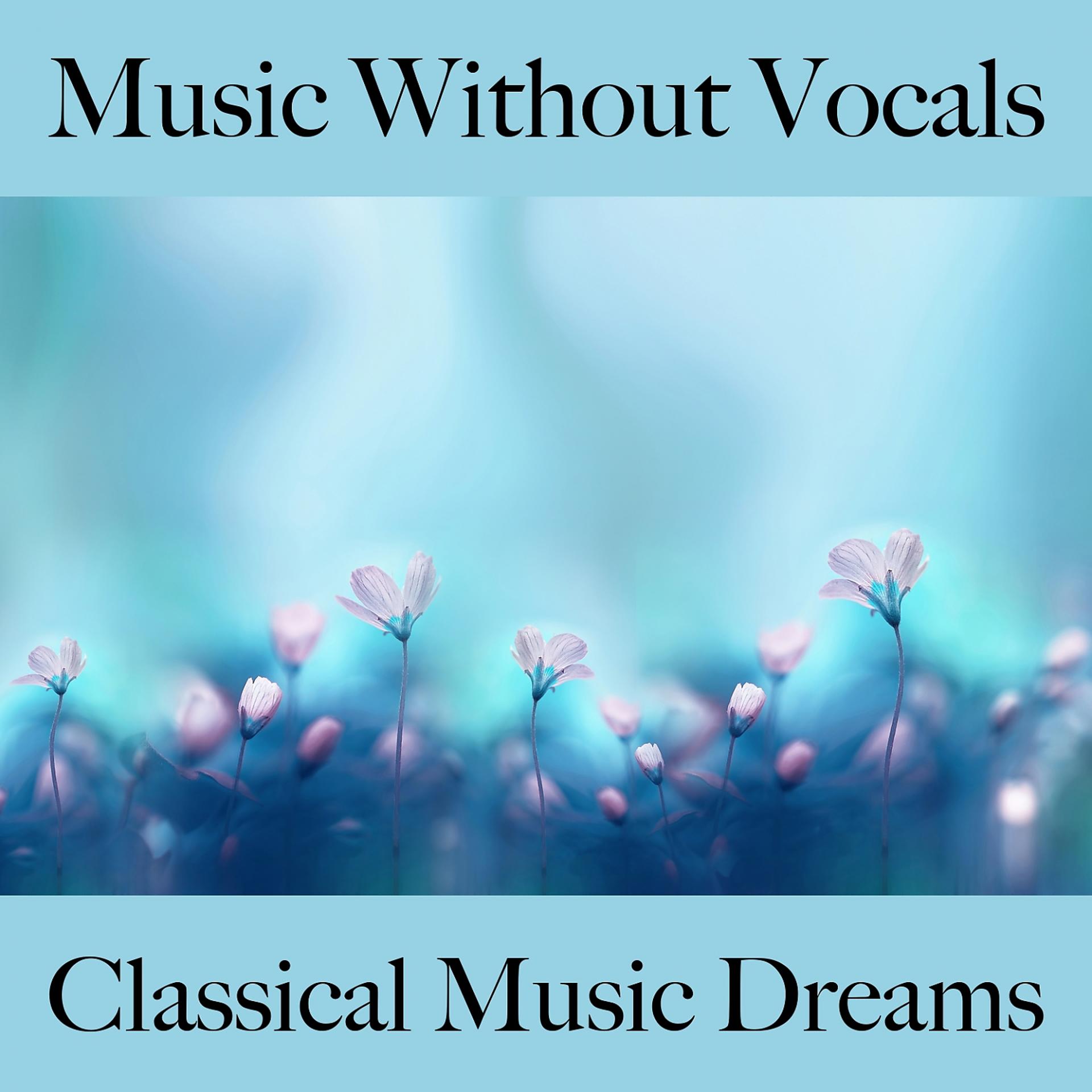 Постер альбома Music Without Vocals: Classical Music Dreams - The Best Sounds For Relaxation