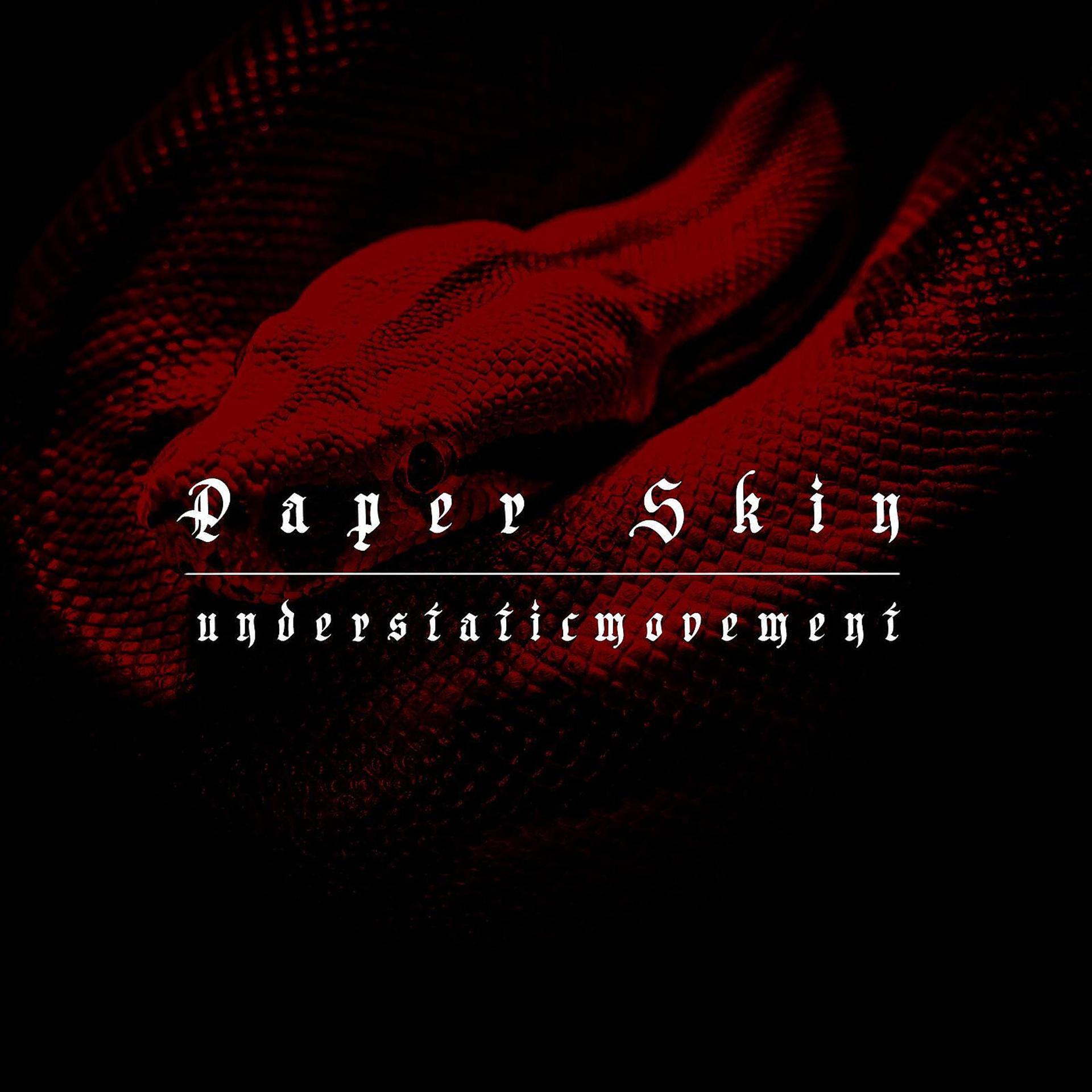 Постер альбома Paper Skin