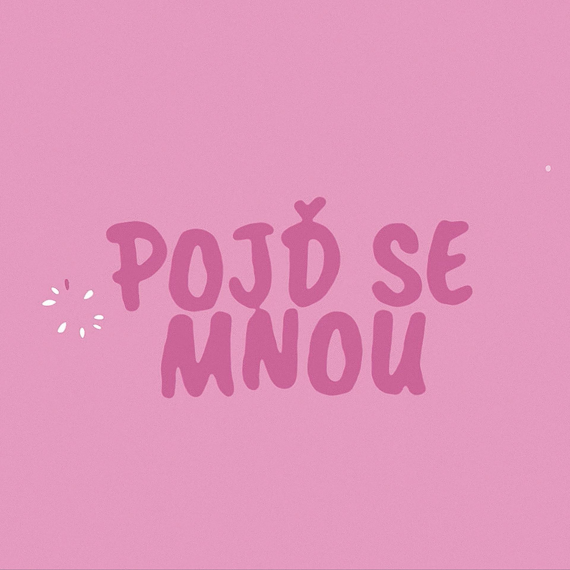 Постер альбома Pojď se mnou