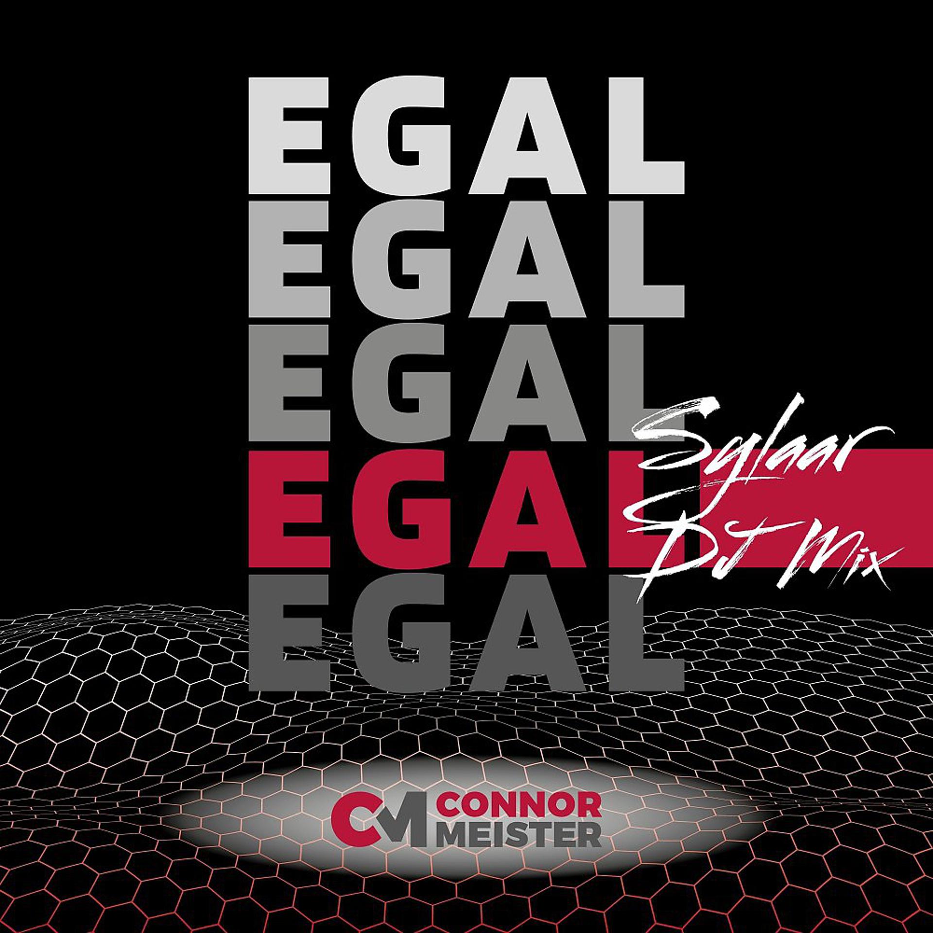 Постер альбома Egal (Sylaar DJ Mix)