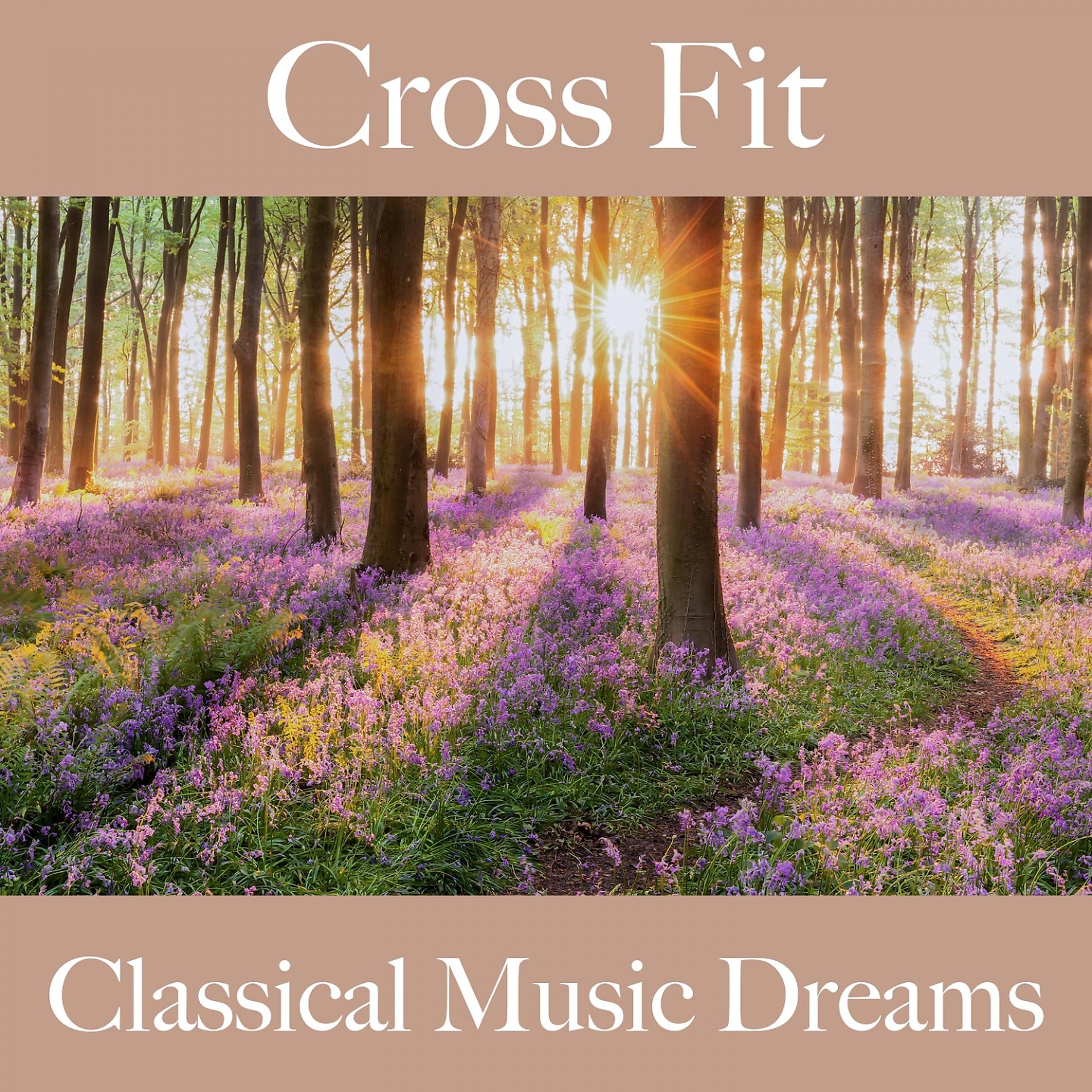 Постер альбома Cross Fit: Classical Music Dreams - Os Melhores Sons Para Malhar