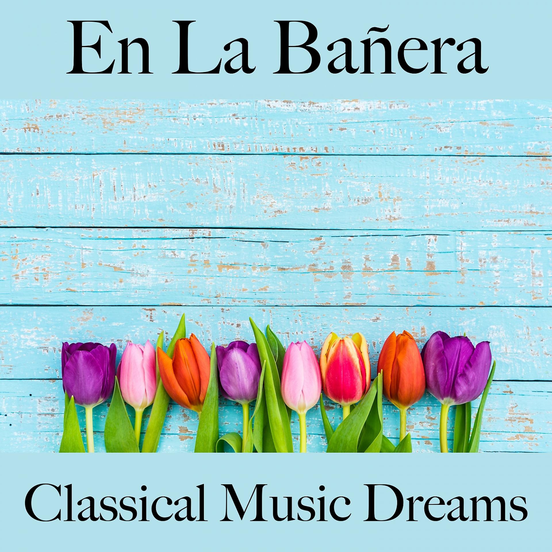 Постер альбома En La Bañera: Classical Music Dreams - Los Mejores Sonidos Para Descansarse