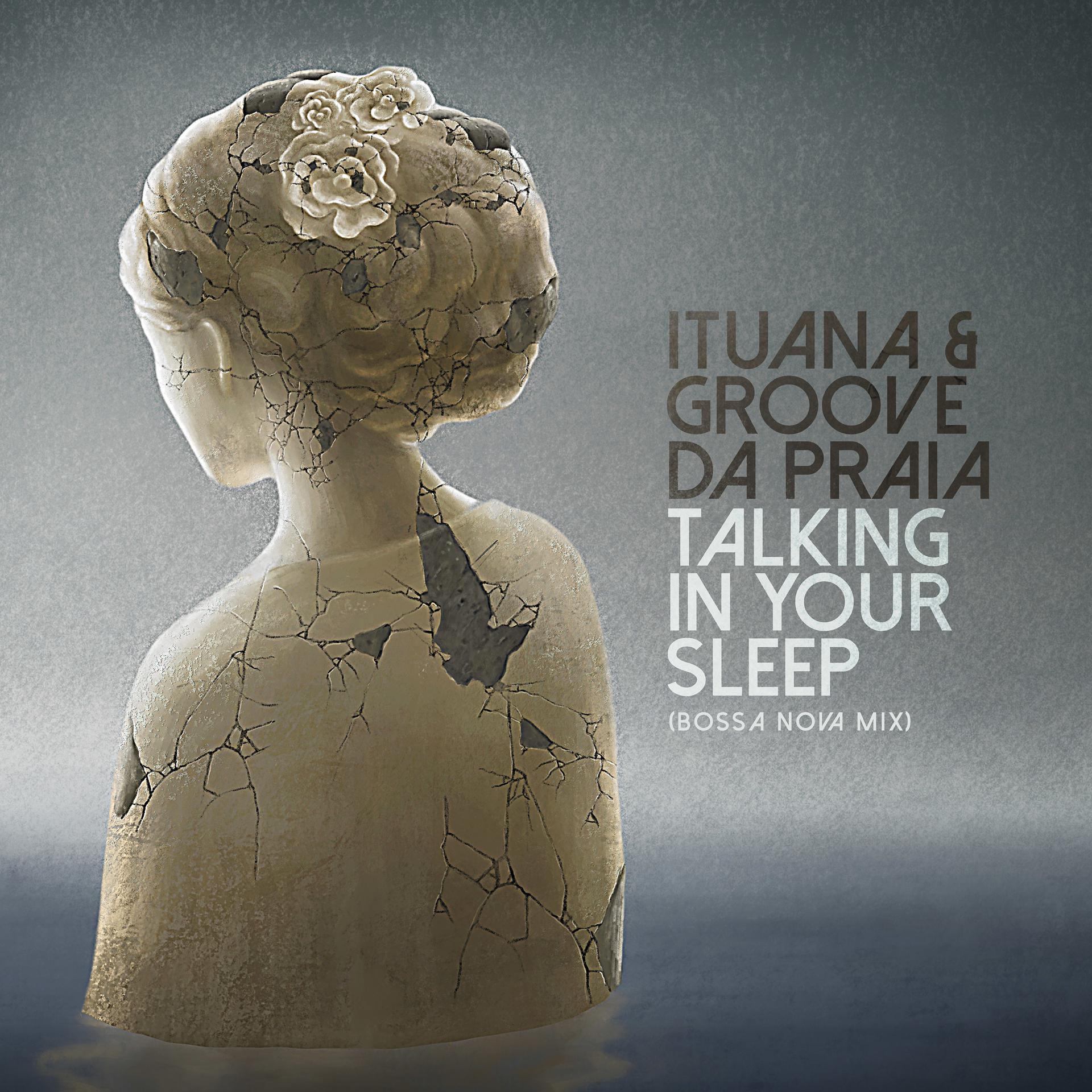 Постер альбома Talking in Your Sleep (Bossa Nova Mix)