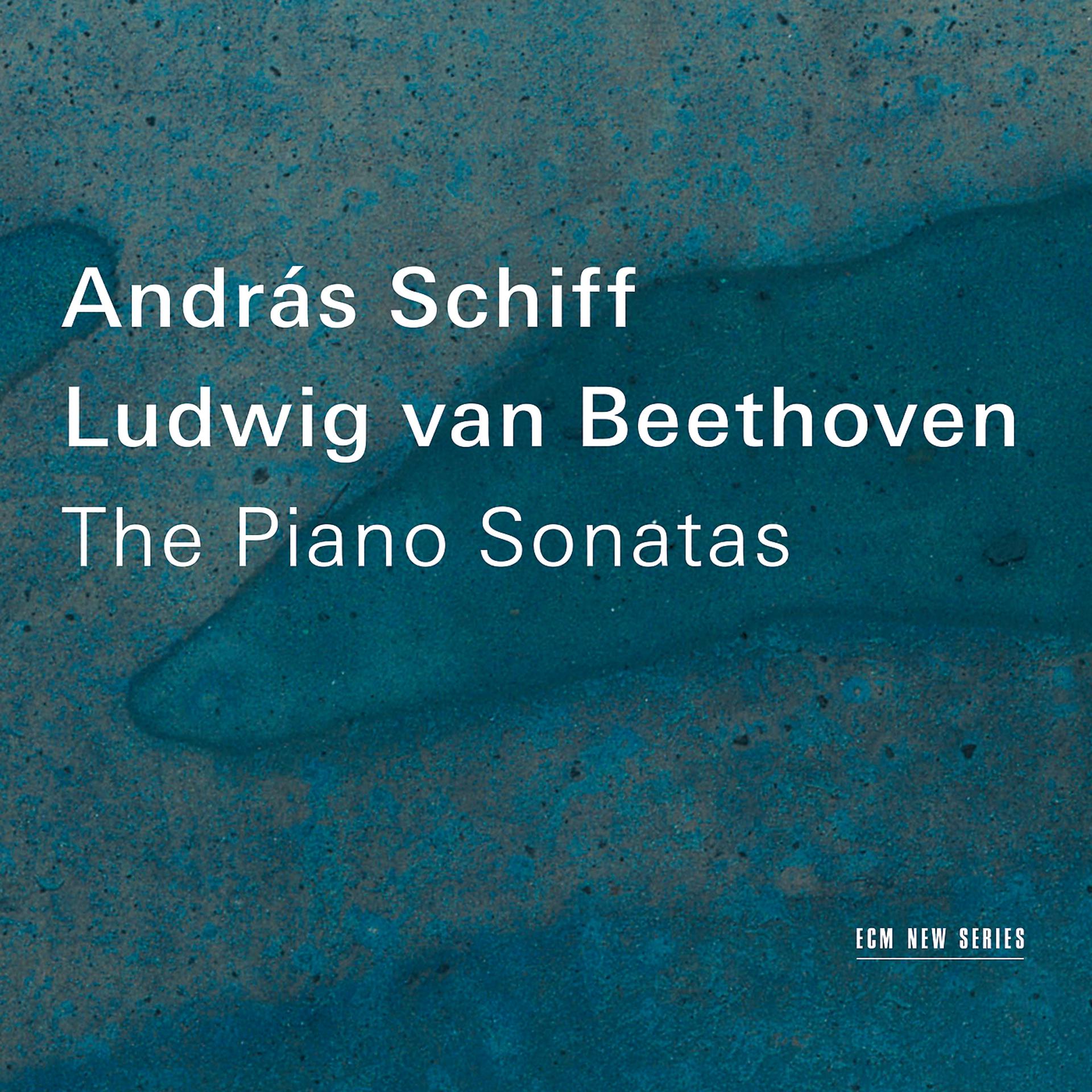 Постер альбома Ludwig van Beethoven - The Piano Sonatas