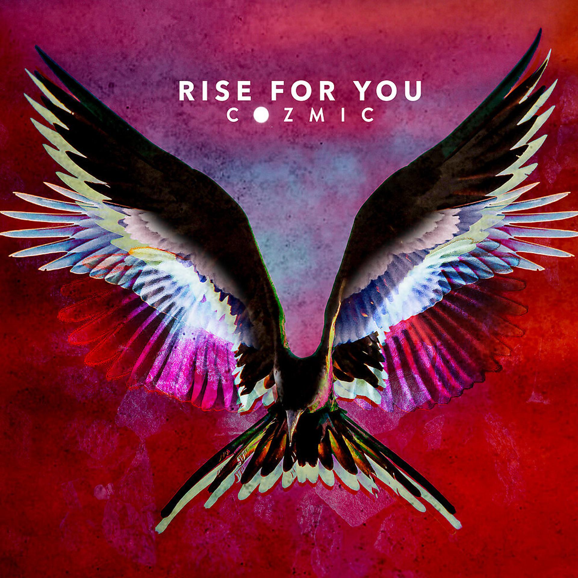 Постер альбома Rise For You