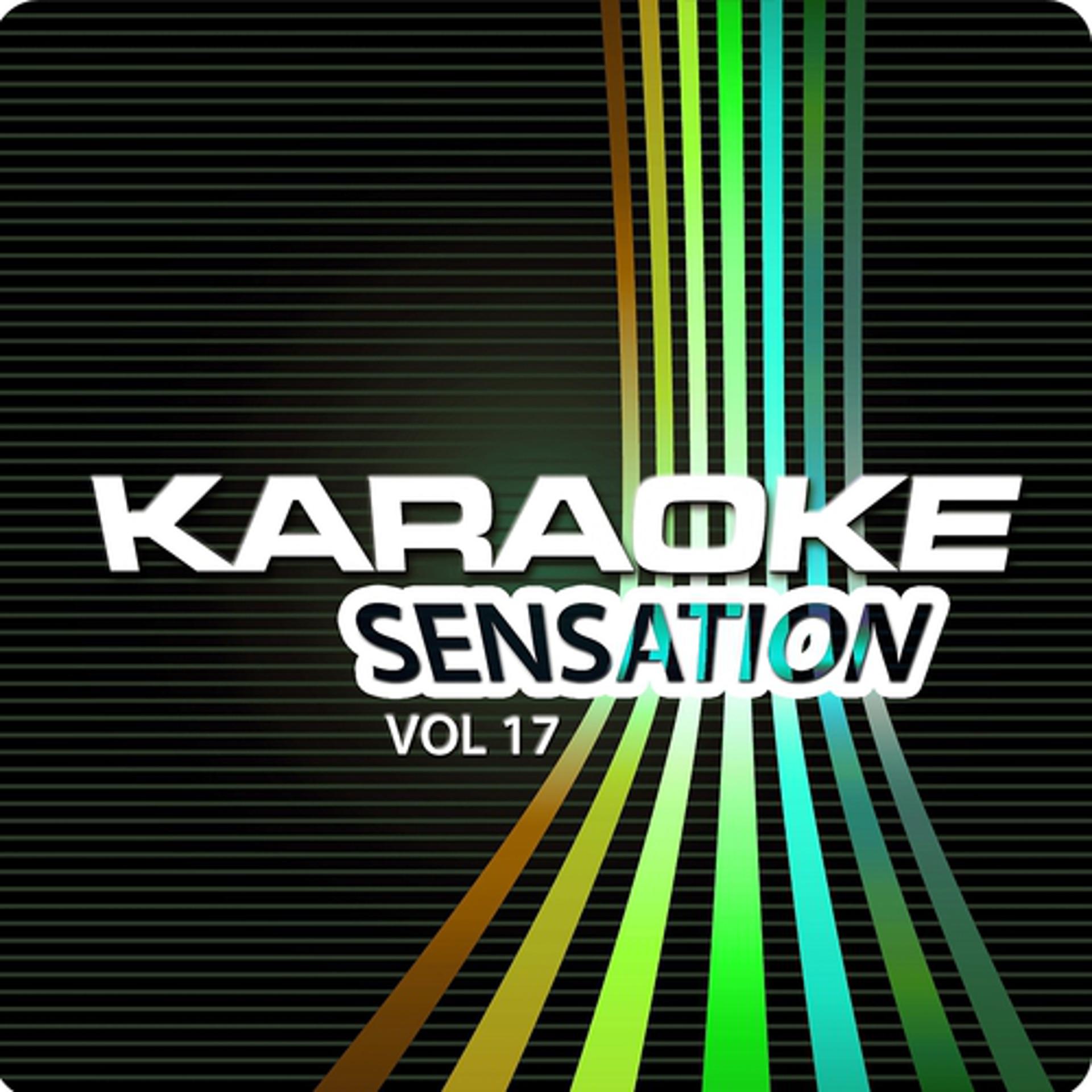 Постер альбома Karaoke Sensation, Vol. 17 : Best of Captain & Tennille