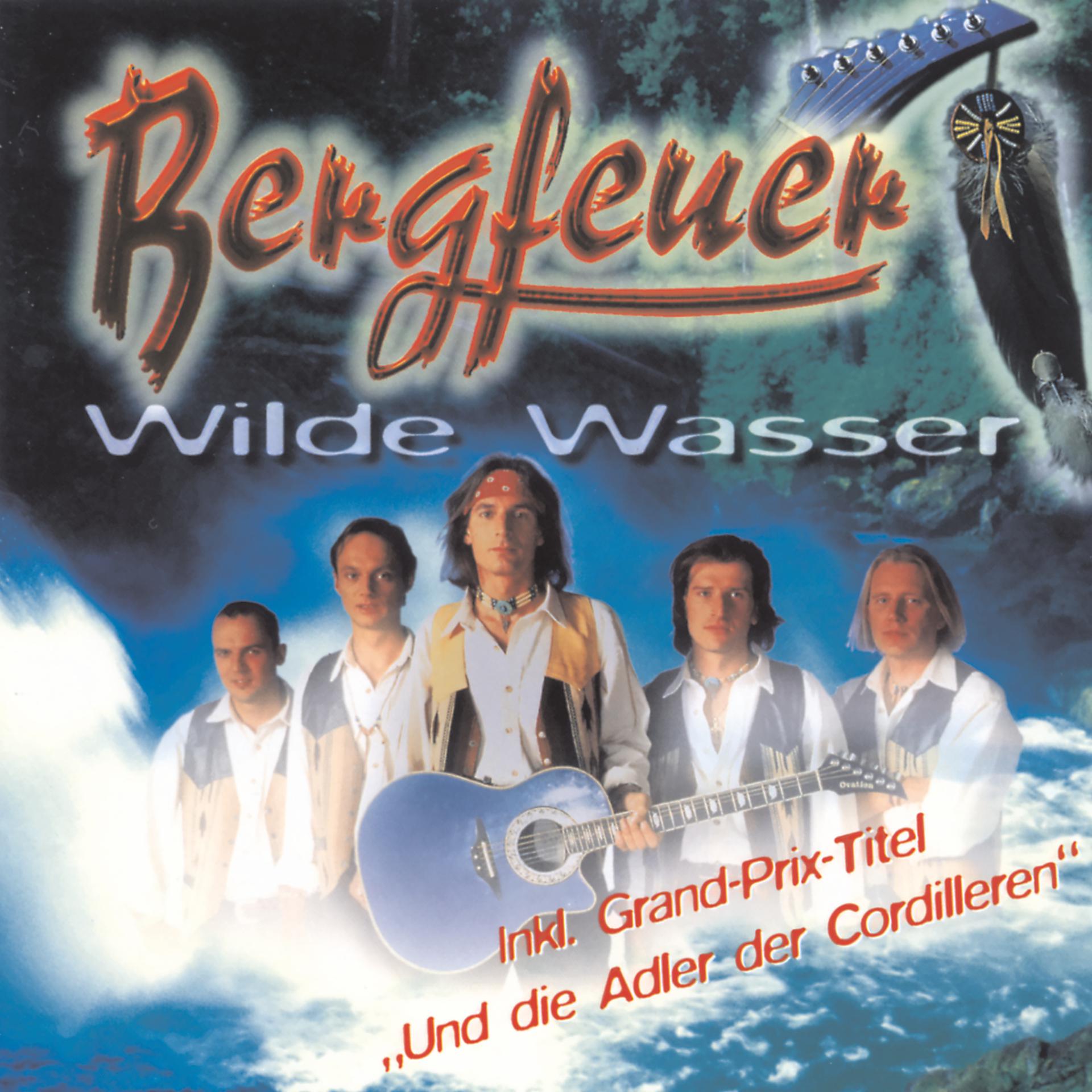 Постер альбома Wilde Wasser