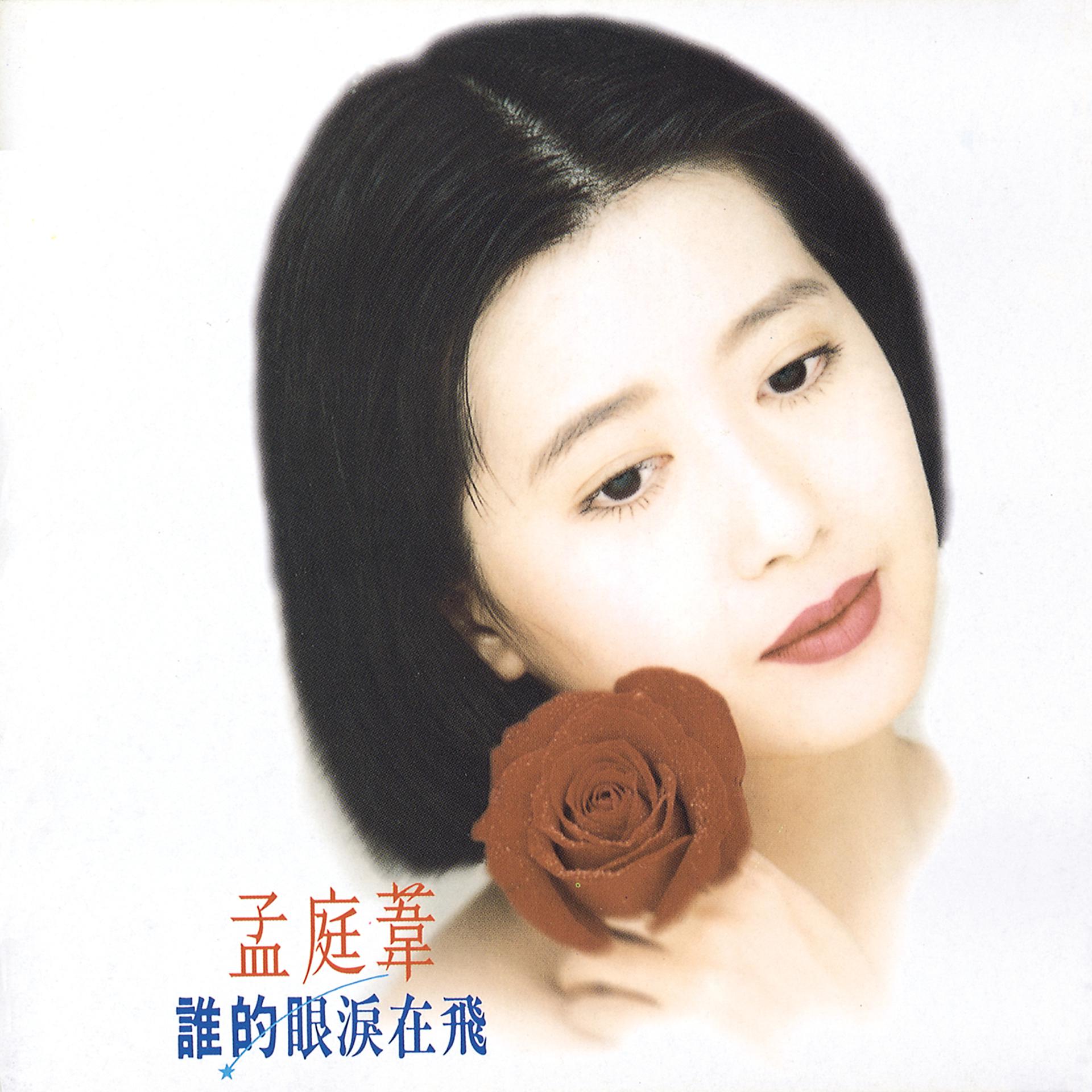 Постер альбома Shei De Yan Lei Zai Fei