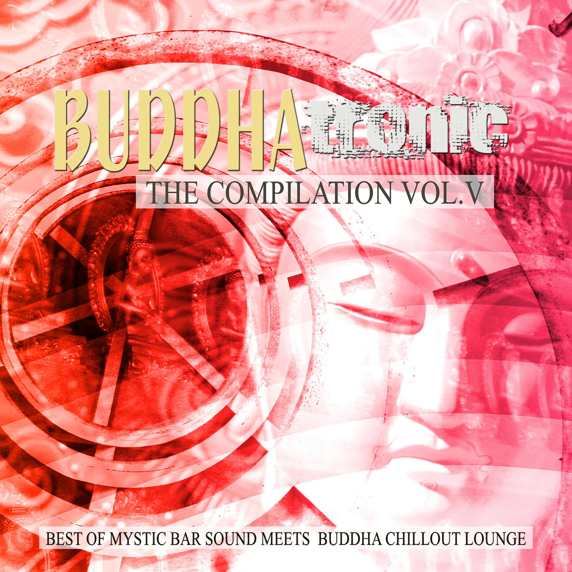 Постер альбома Buddhatronic - the Compilation, Vol. V (Best of Mystic Bar Sound Meets Buddha Chill out Lounge)