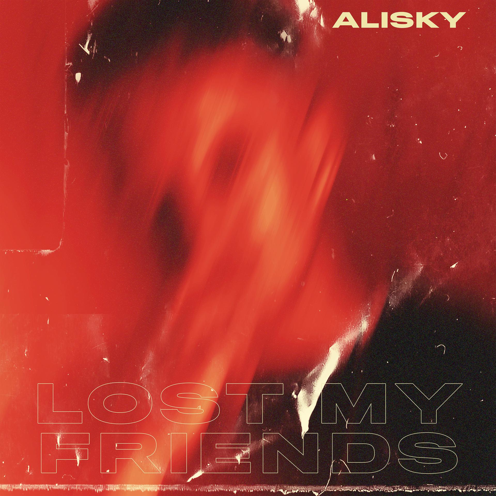 Постер альбома Lost My Friends