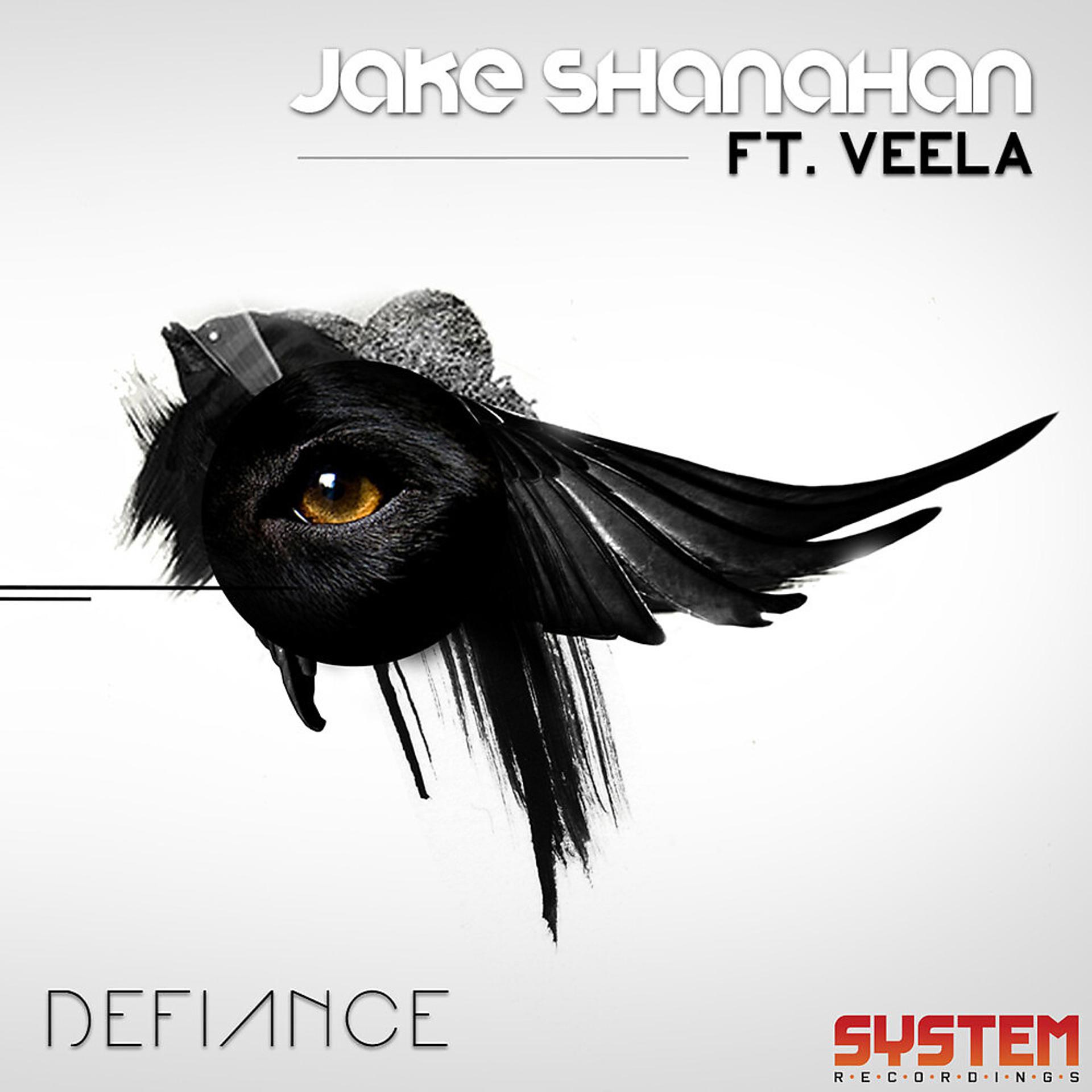 Постер альбома Defiance (feat. Veela) - EP