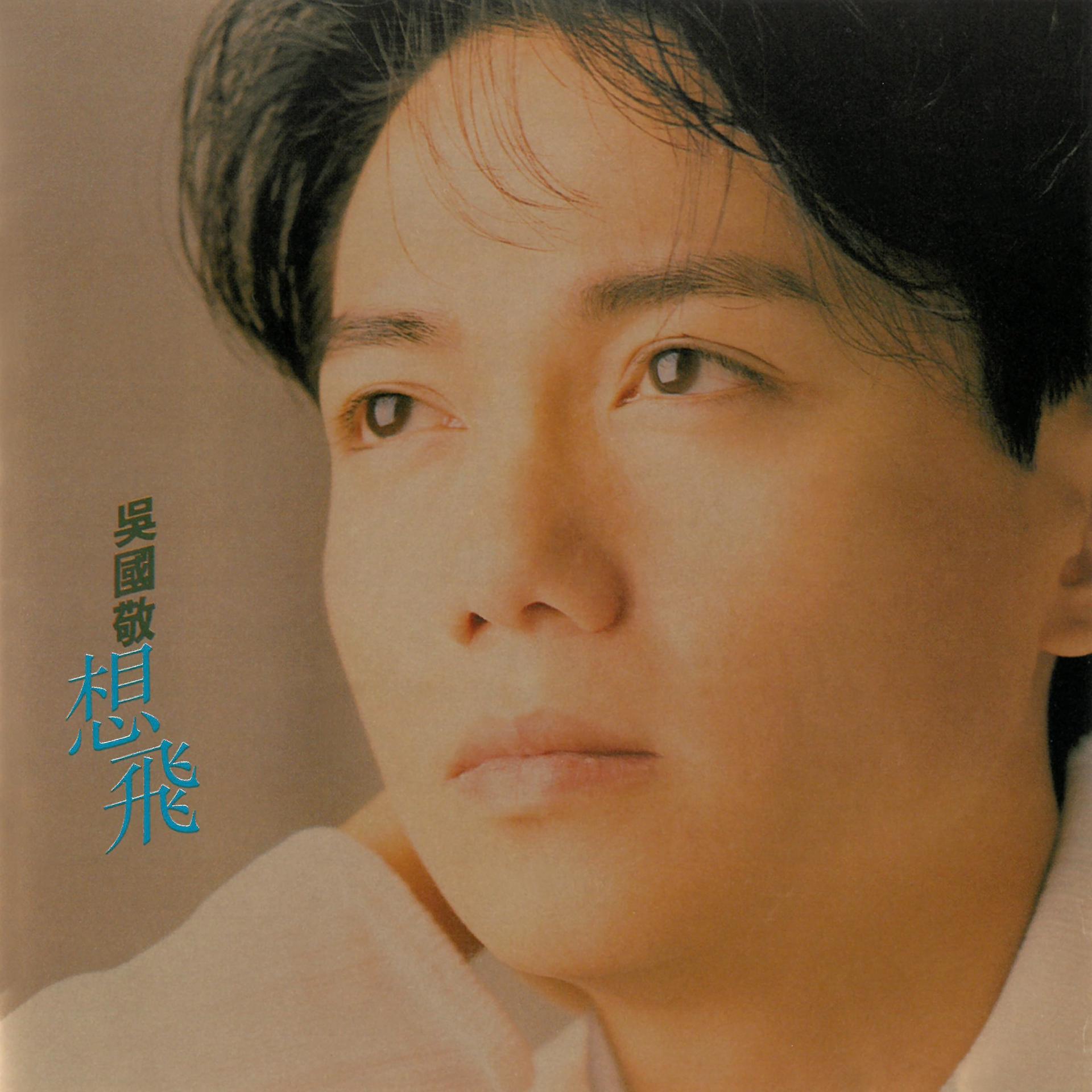 Постер альбома xiang fei
