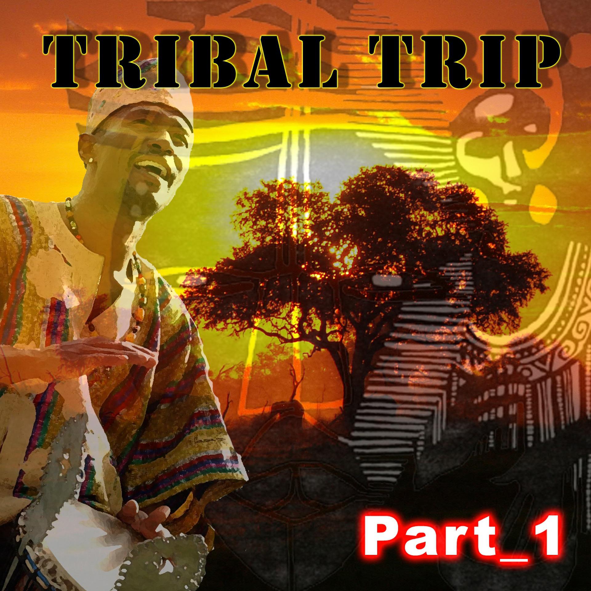 Постер альбома Tribal Trip (Part 1)
