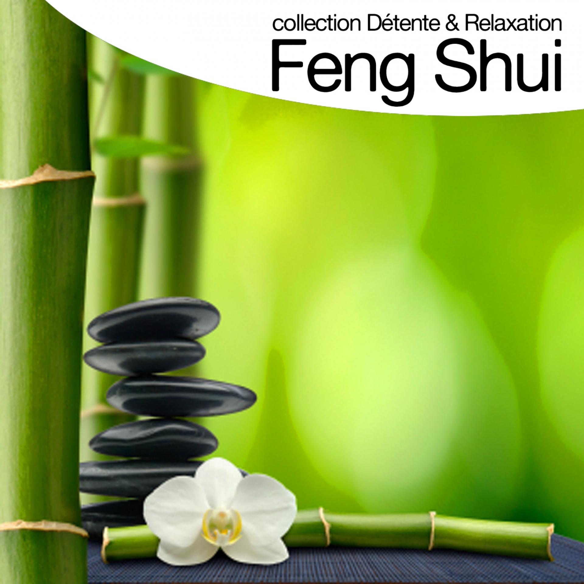 Постер альбома Feng shui