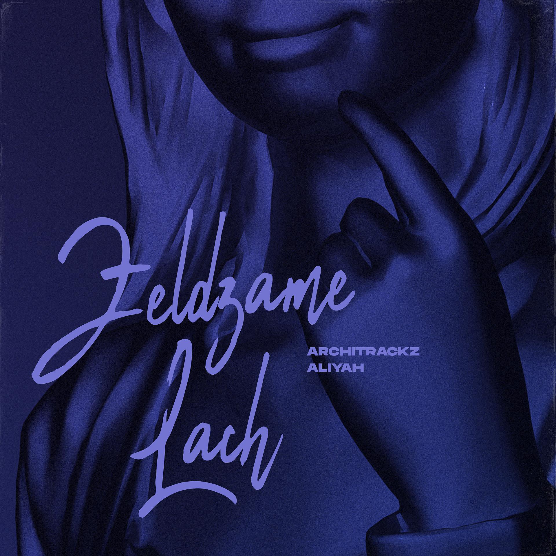 Постер альбома Zeldzame Lach