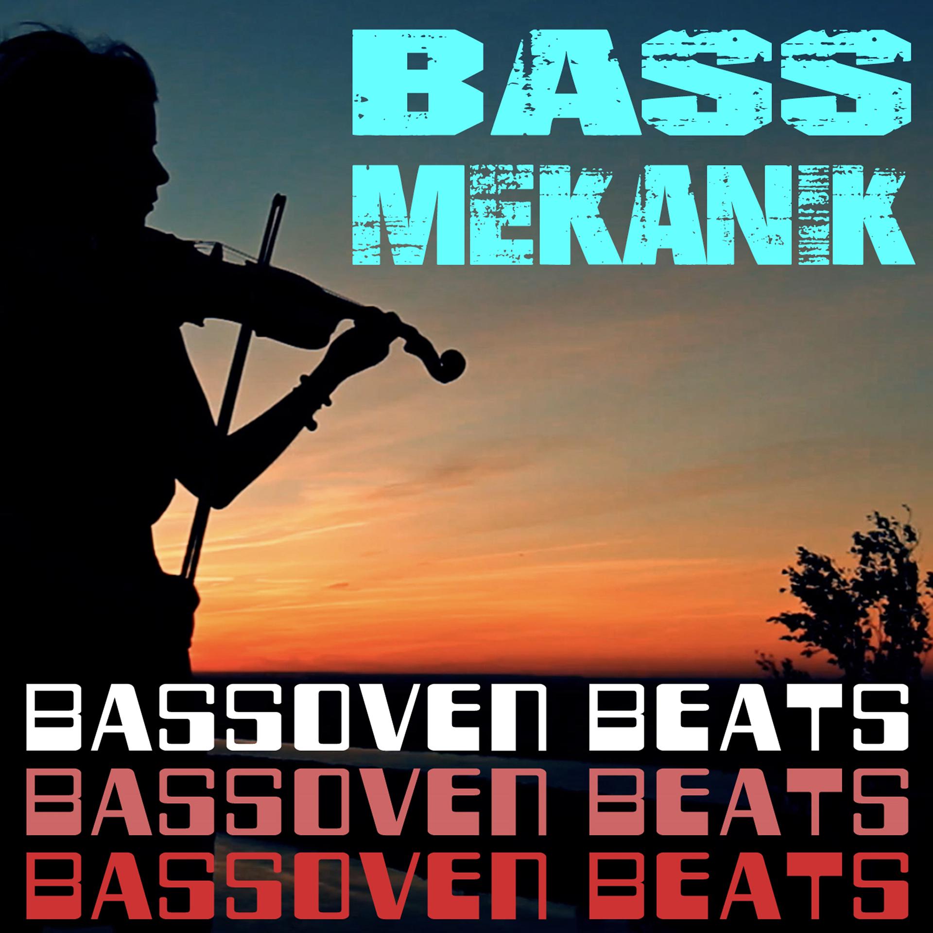 Постер альбома Bassoven Beats