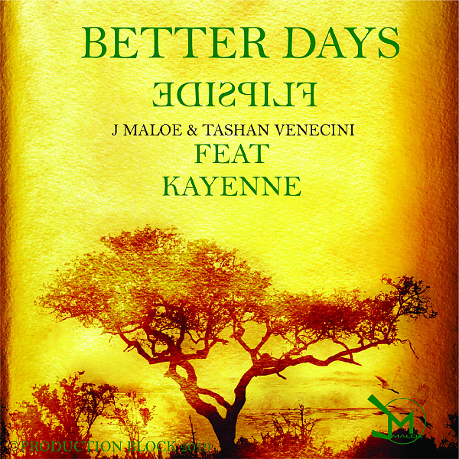 Постер альбома BETTER DAYS (feat. Kayenne) [FLIPSIDE REMIX]