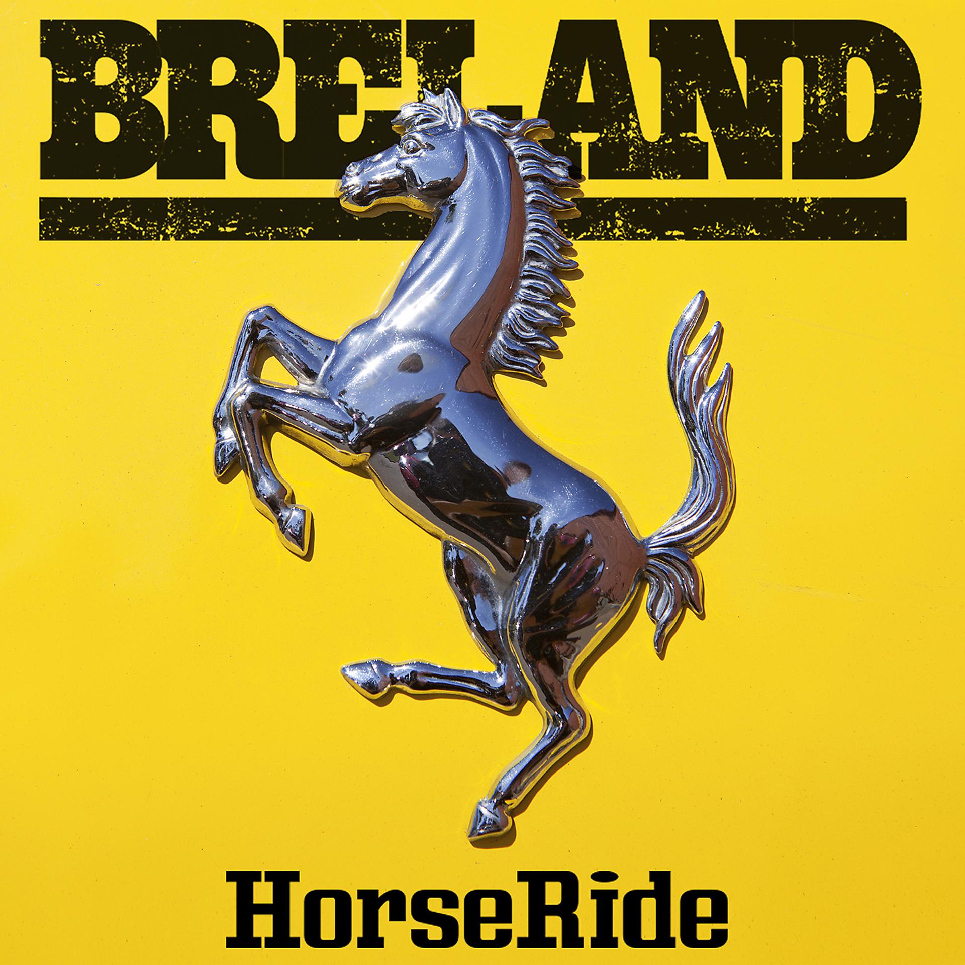 Постер альбома Horseride