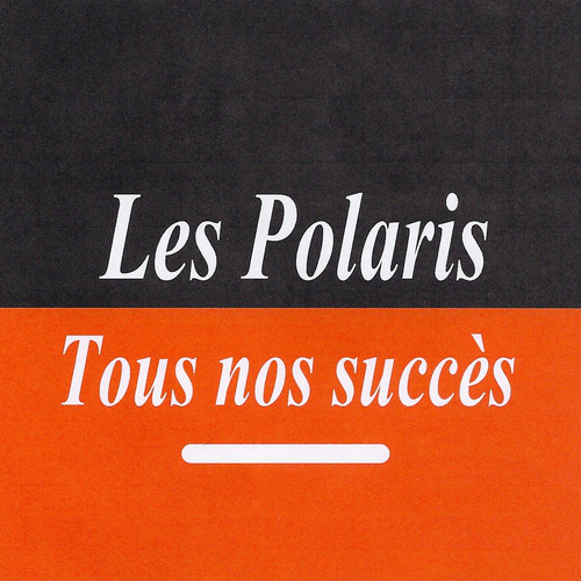Постер альбома Tous nos succès - Les polaris