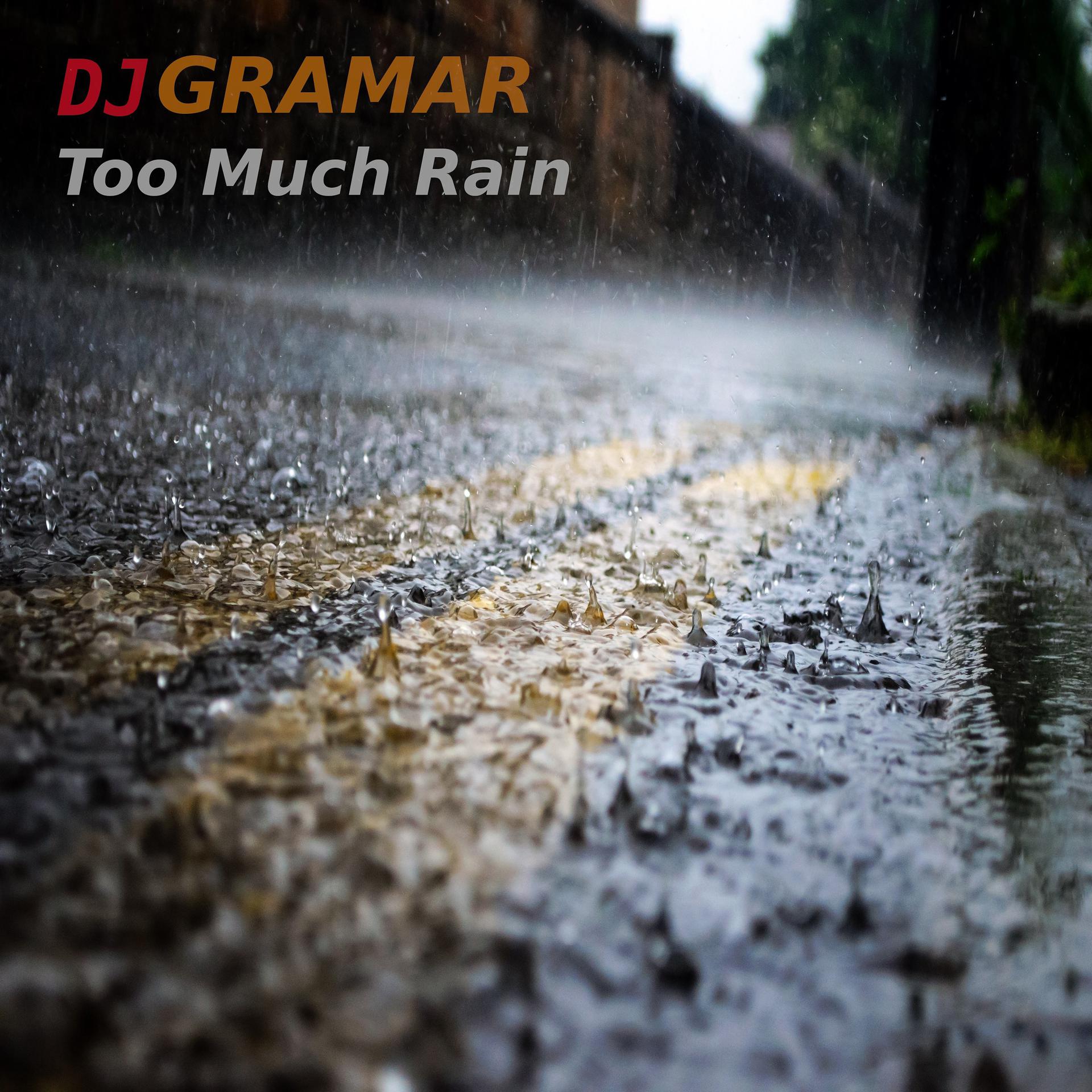 Постер альбома Too Much Rain