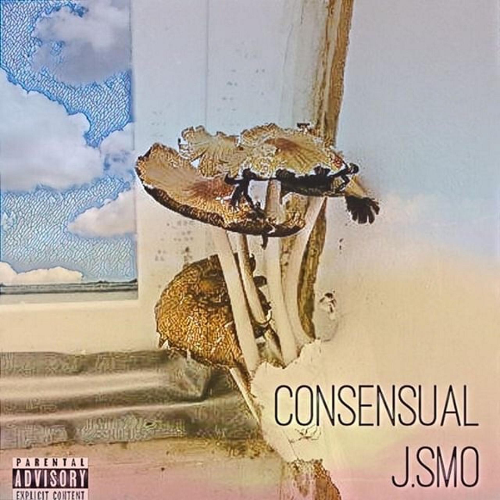 Постер альбома Consensual