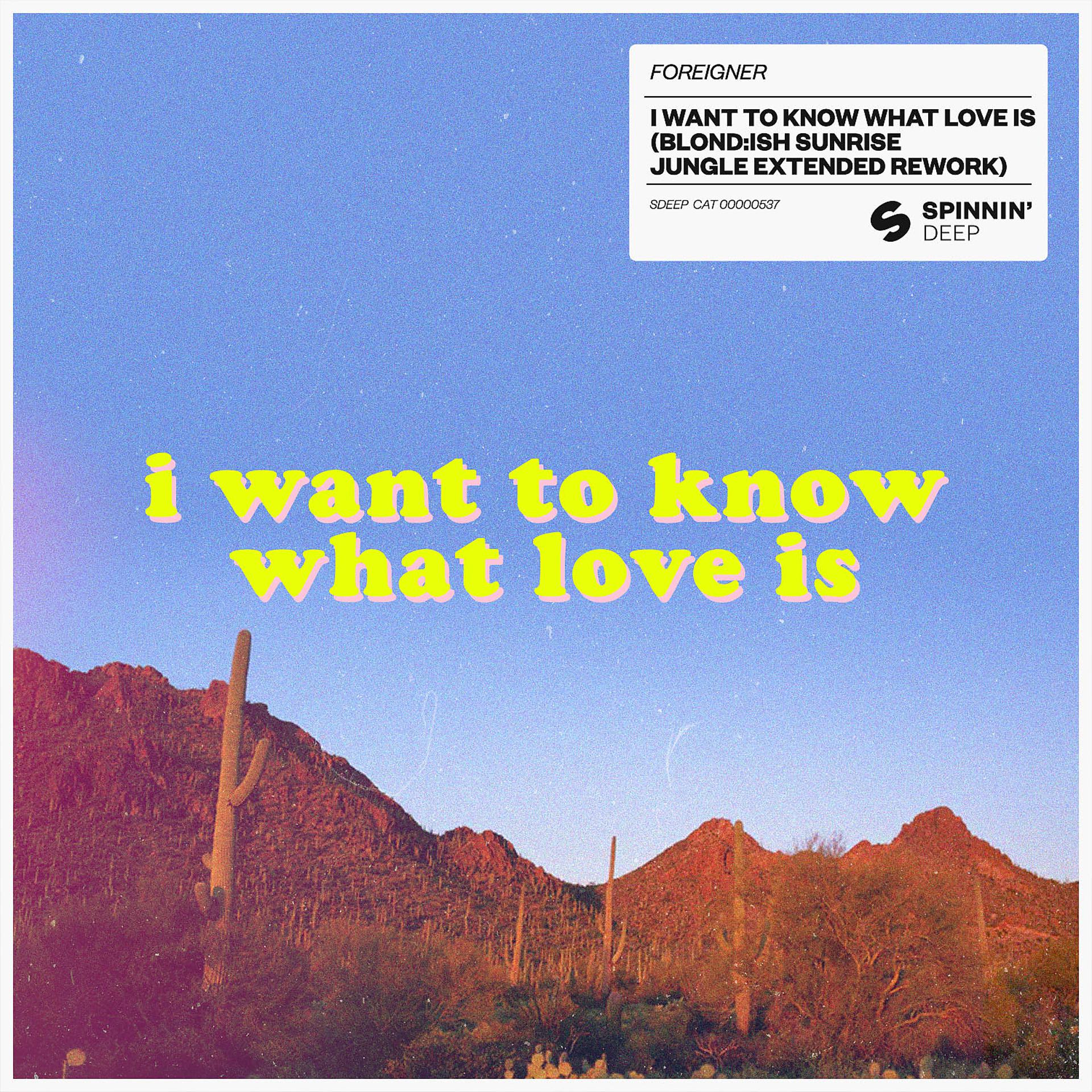 Постер альбома I Want To Know What Love Is (BLOND:ISH Sunrise Jungle Extended Rework)