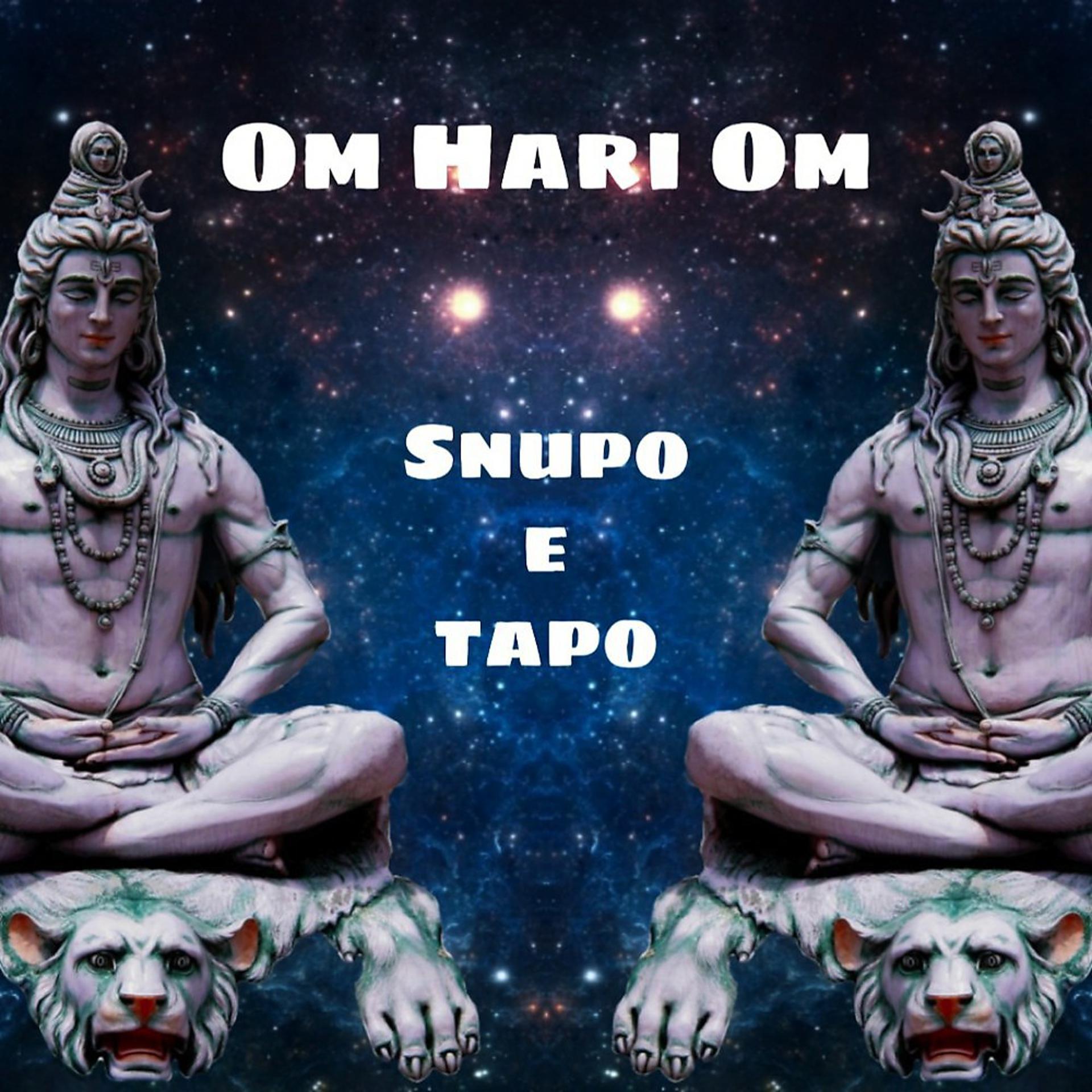 Постер альбома Om Hari Om