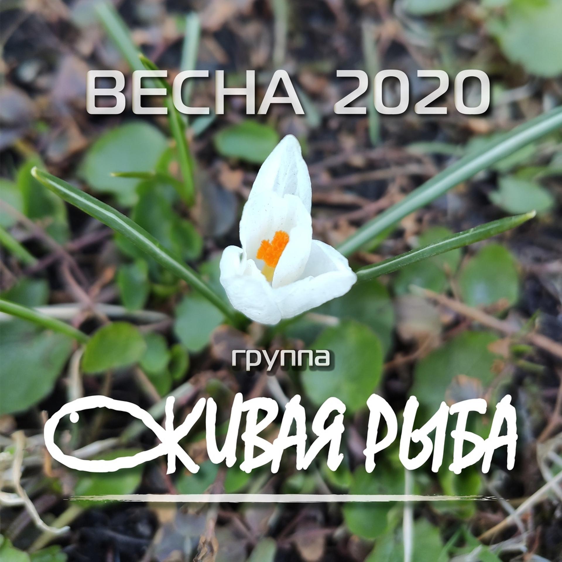 Постер альбома Весна 2020