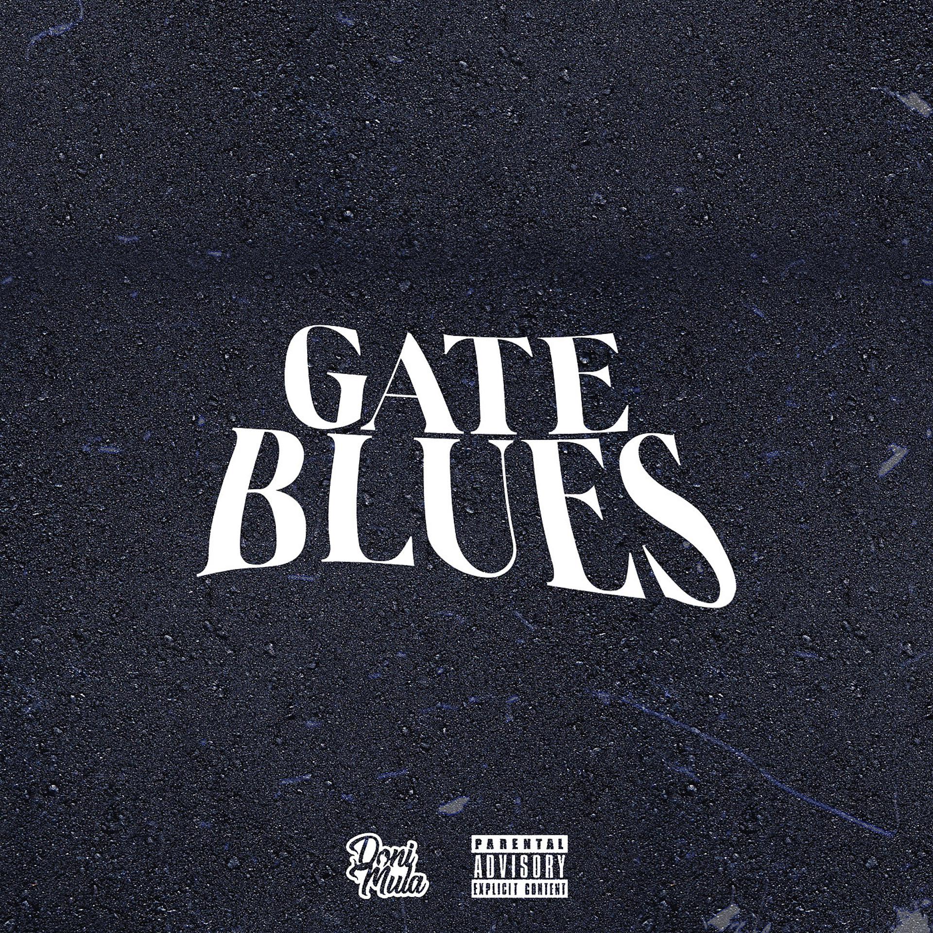 Постер альбома Gate Blues