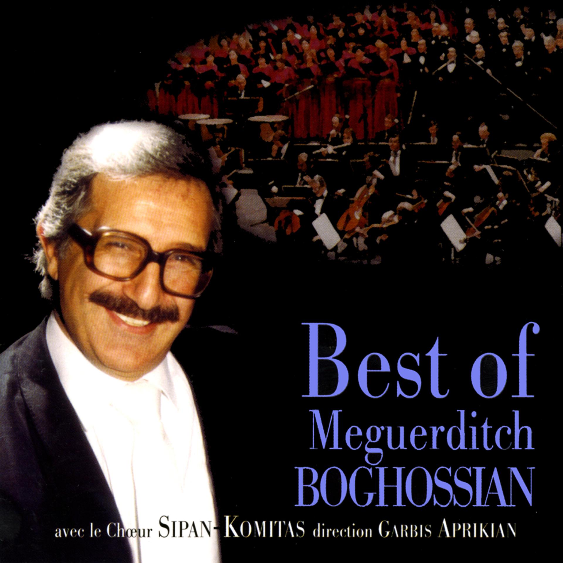 Постер альбома Best of Meguerditch Boghossian