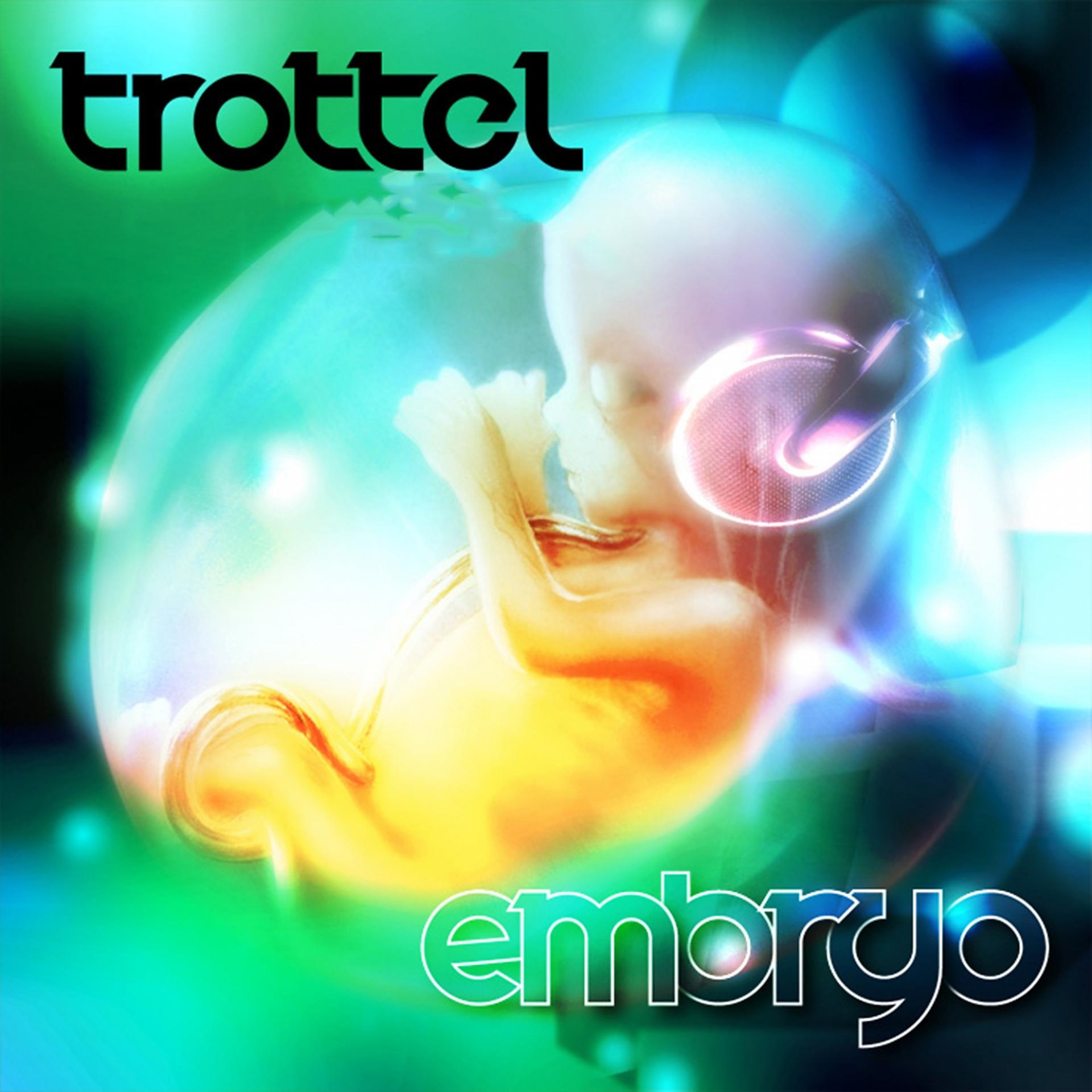 Постер альбома Embryo