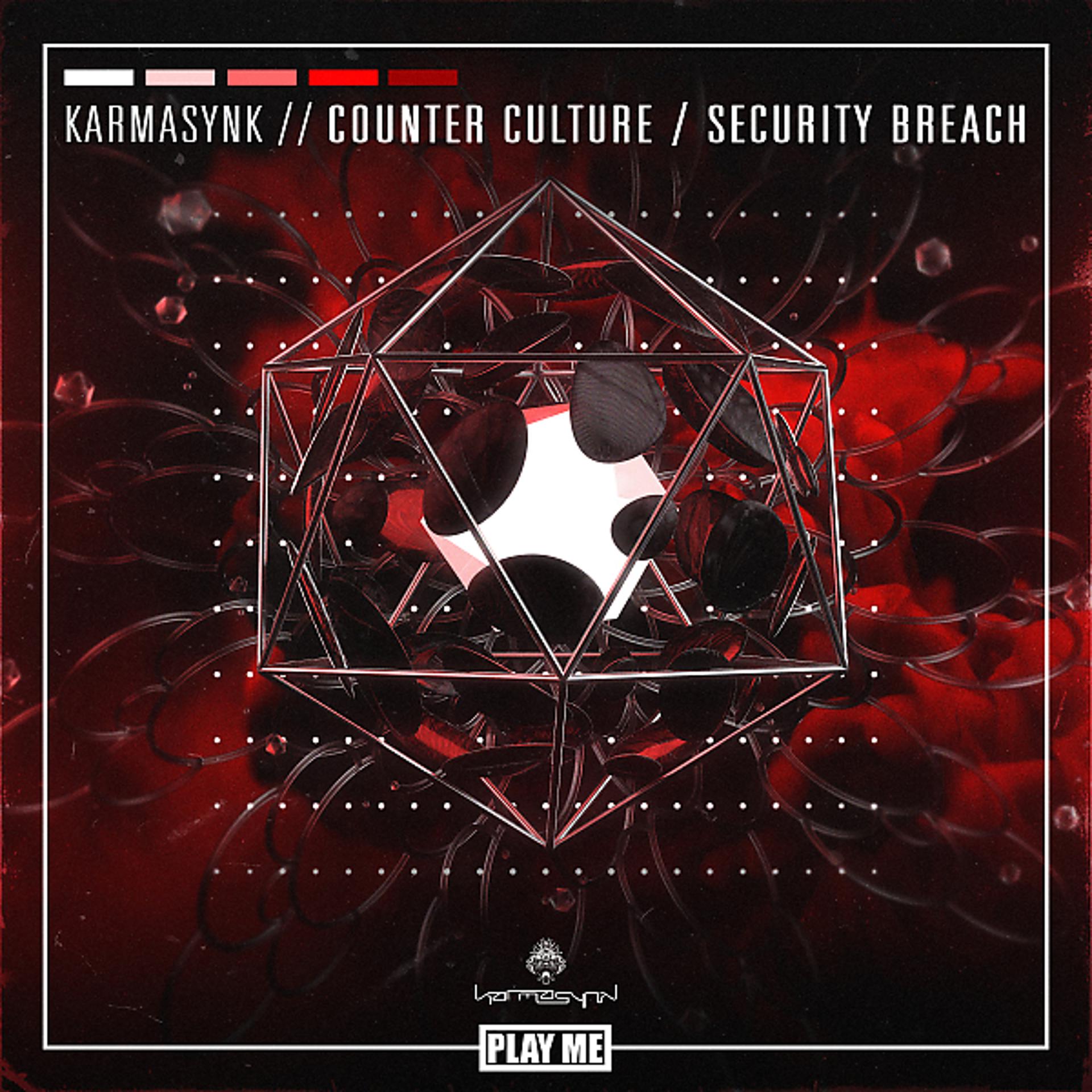 Постер альбома Counter Culture / Security Breach