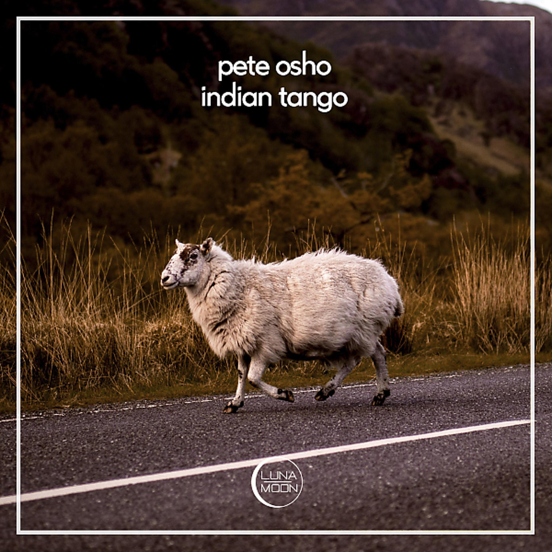 Постер альбома Indian Tango