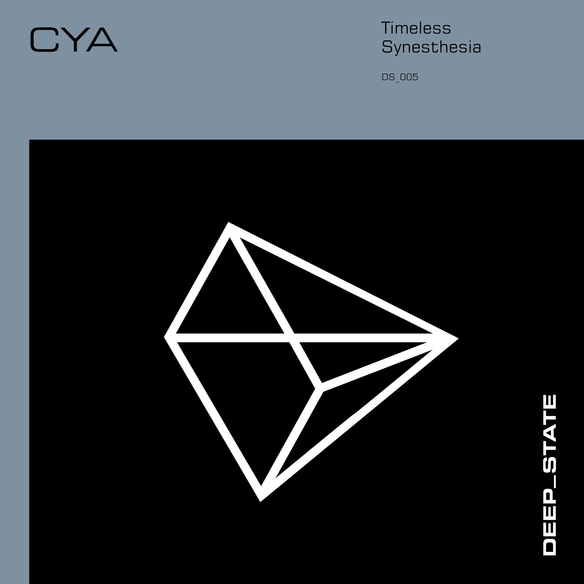 Постер альбома Timeless/Synesthesia