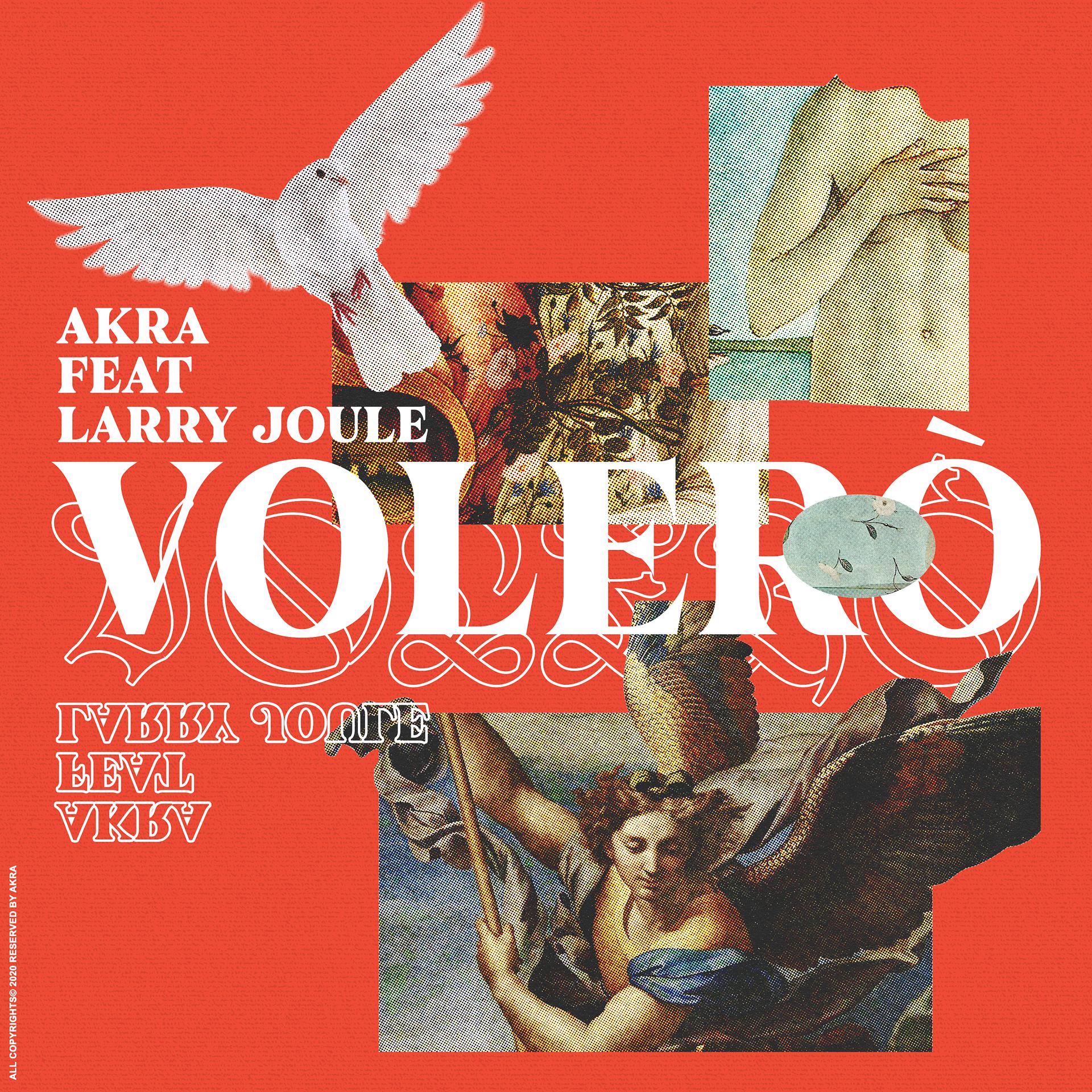 Постер альбома Volerò