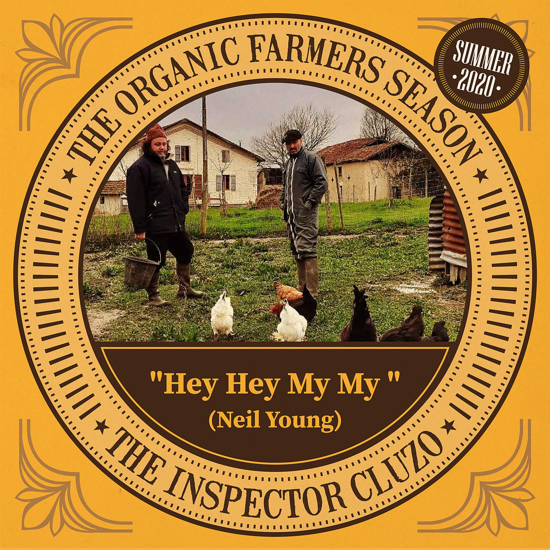 Постер альбома Hey Hey My My (Neil Young Cover)